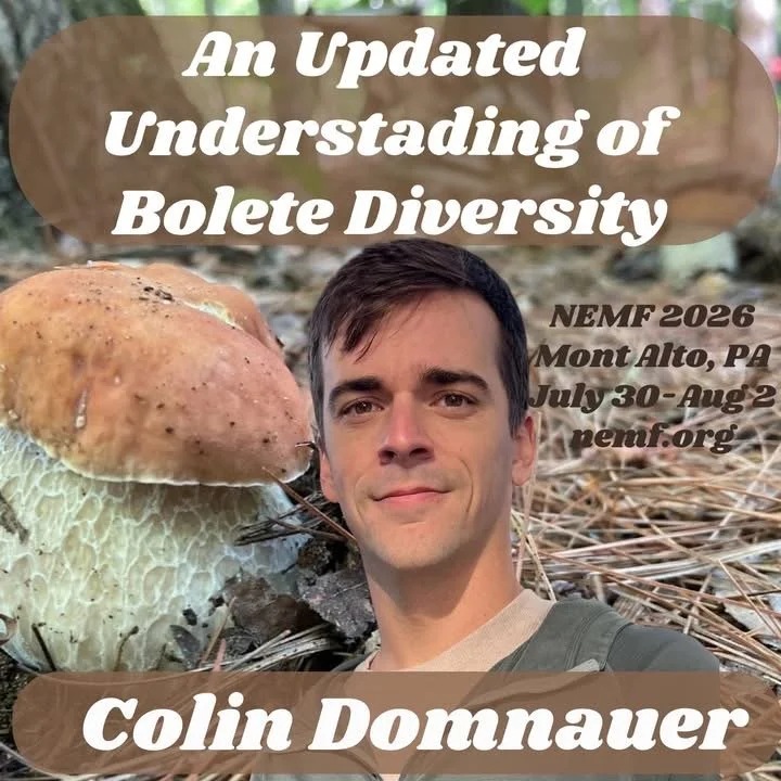 IMG_5782.jpeg