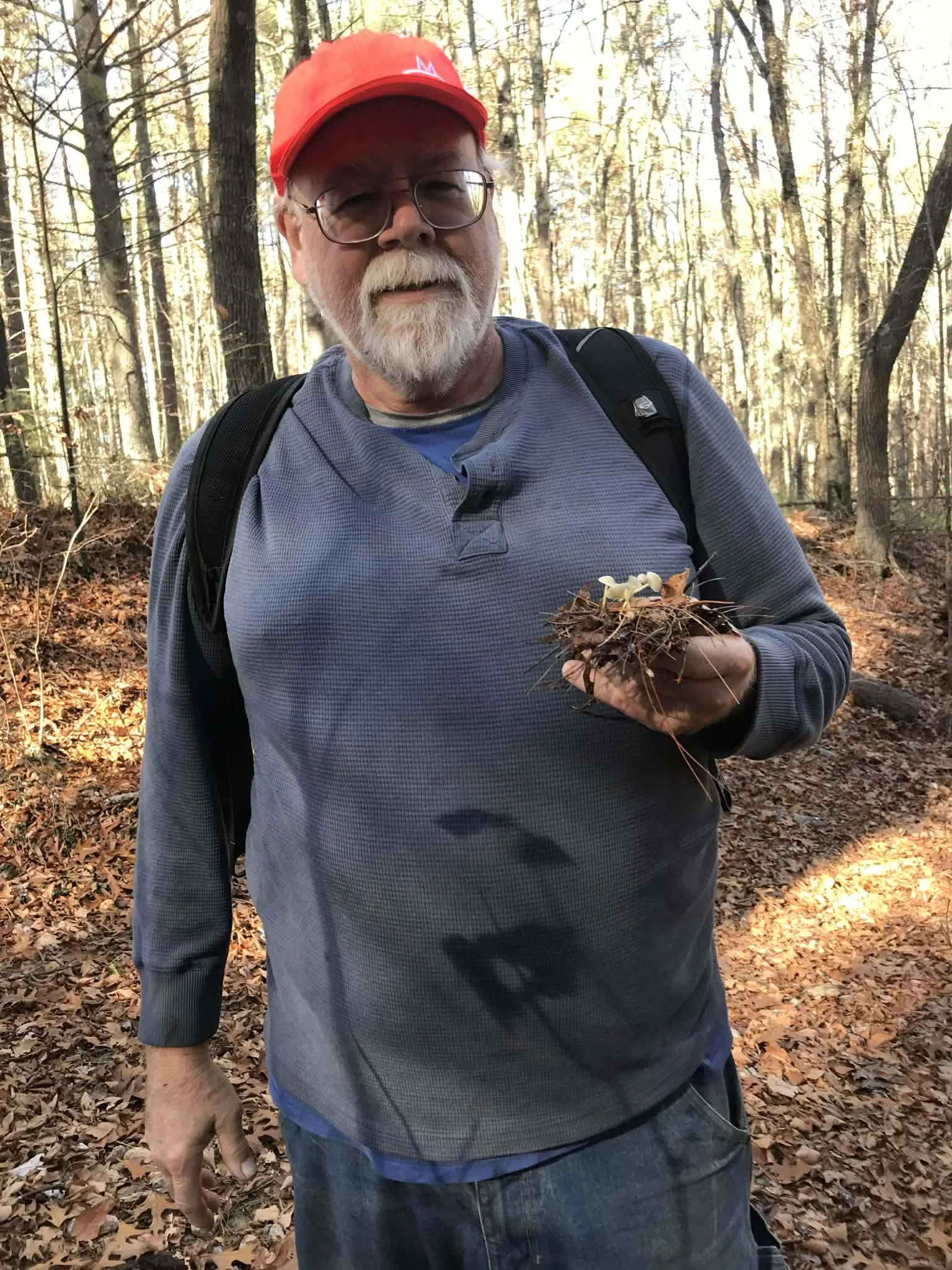 An older man with a white beard and glasses wearing a red cap, a blue shirt, and a backpack holding a nest with baby birds in a wooded area with fallen leaves.