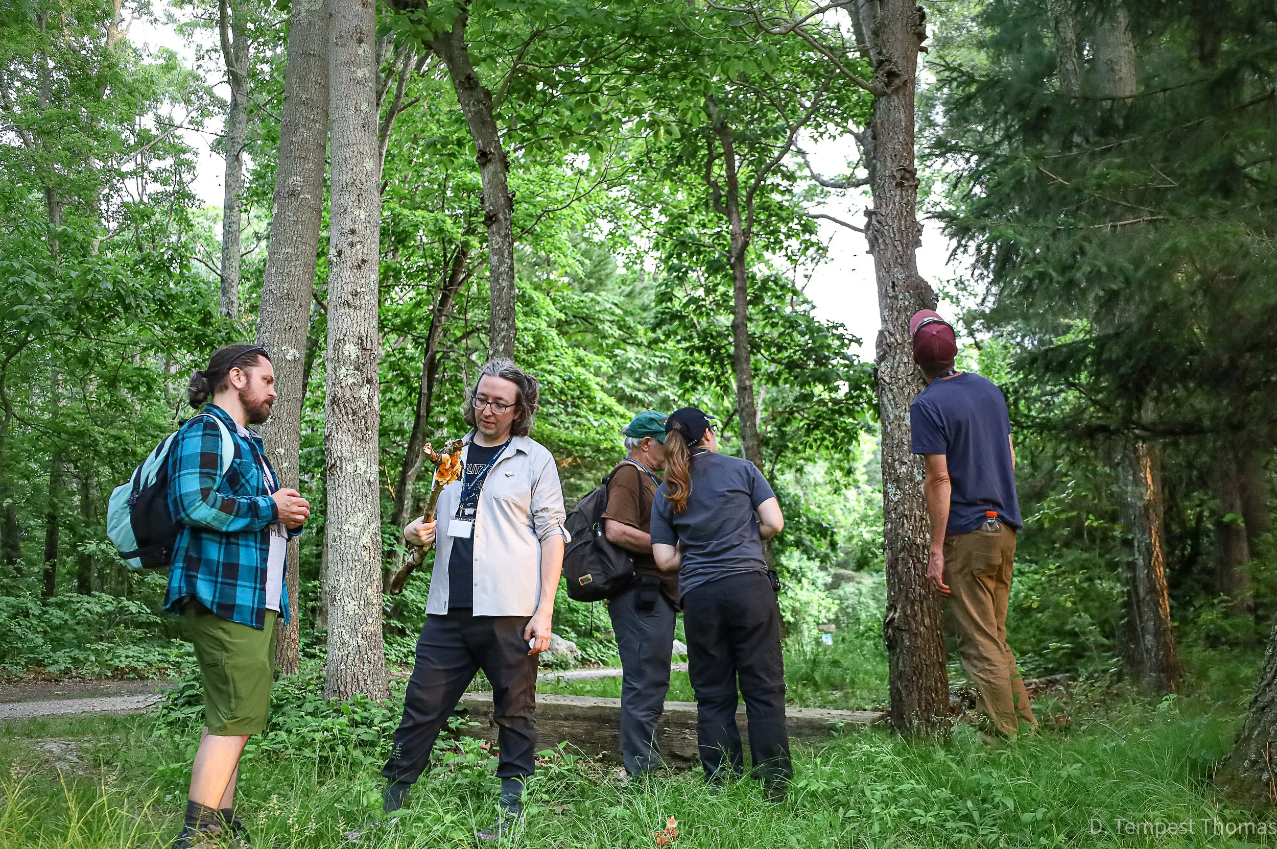 A group of five people, five women and one man, stand and talk in a forest surrounded by trees and green foliage.