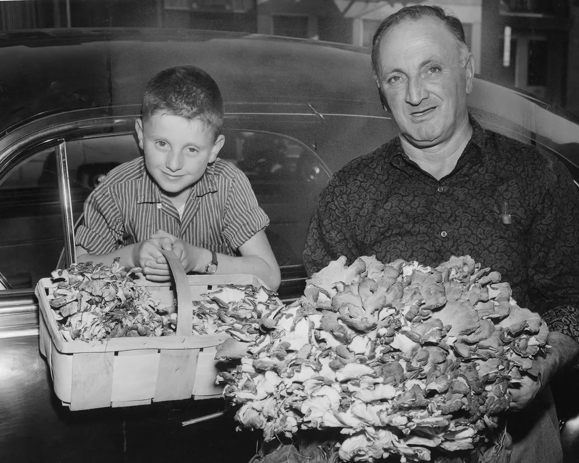 1959: Rhode Island's Italian-Americans delight in "catching" giant mushrooms. Mushrooms catchers are just as quiet as fisherman about where they got the "big one." Anthony Marro, of Providence, and his grandson, John Papa, 10, grabbed a monster, a si