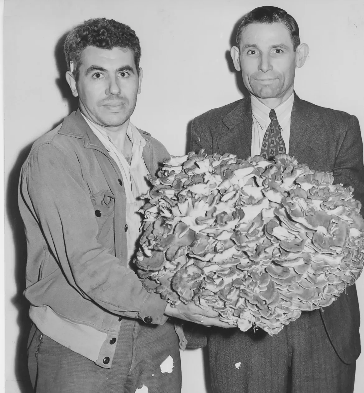 1939: Although critical and gastronomical opinion was divided, there was no doubt in the mind of Joseph Romano, right, that (a) his prize find was a mushroom and (b) it would prove a tasty dish. He and Eugene Savastano, who is helping support his pri