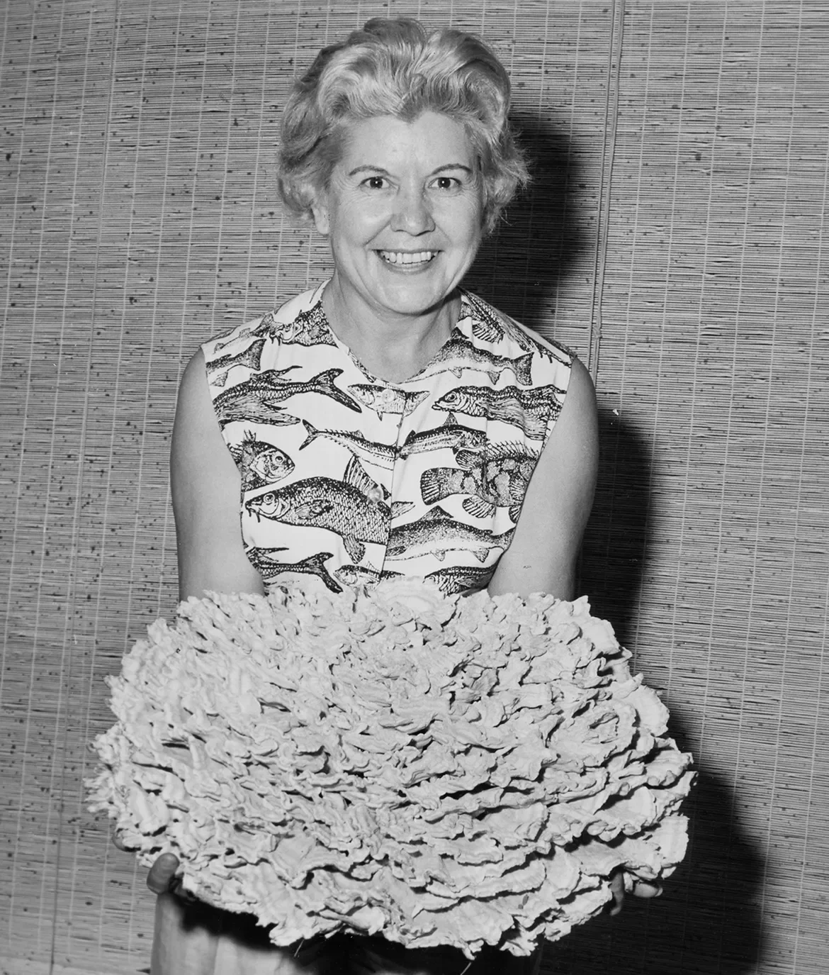 1964: Joseph Guzeika, of North Kingstown, has been hunting mushrooms far and near for 40 years. But the biggest one he ever saw was found practically in his backyard. And his wife found it. Known as "oyster mushroom" because of its resemblance to a b