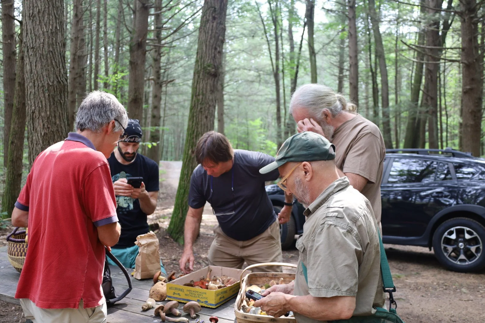 Group of people in a forest gathered around a table with various mushrooms, with some of them taking pictures with their phones.
