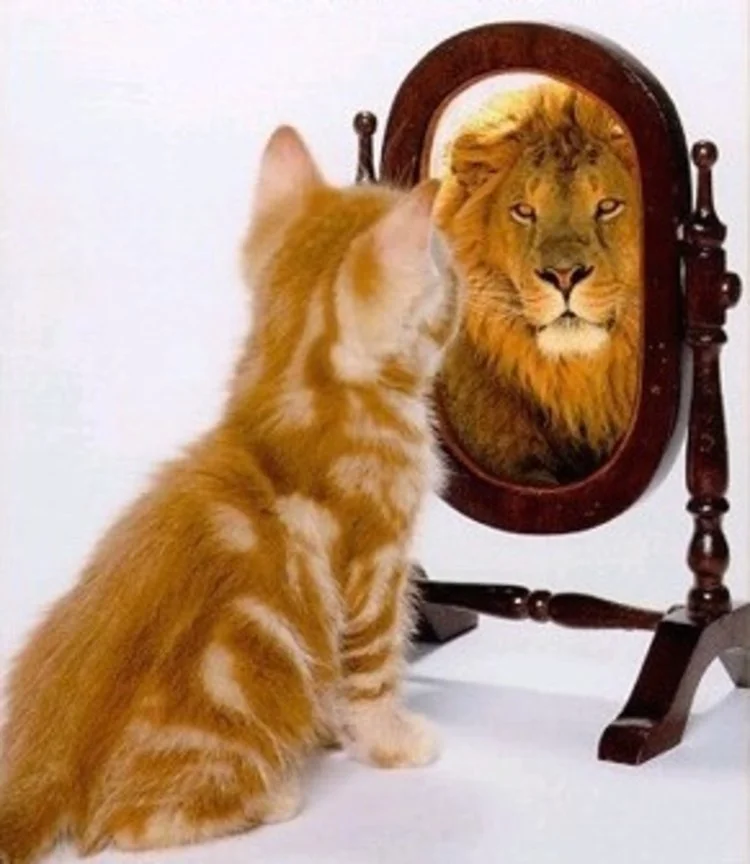 Our Relationship with Ourselves