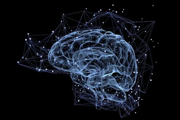 Brain Health