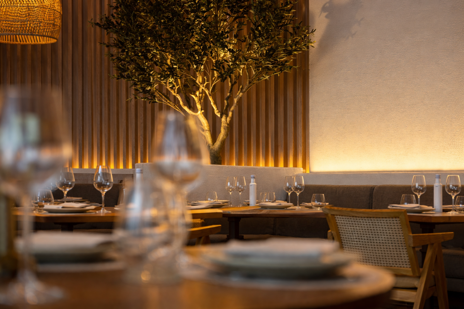 7B6A1244 ALIGNED.png