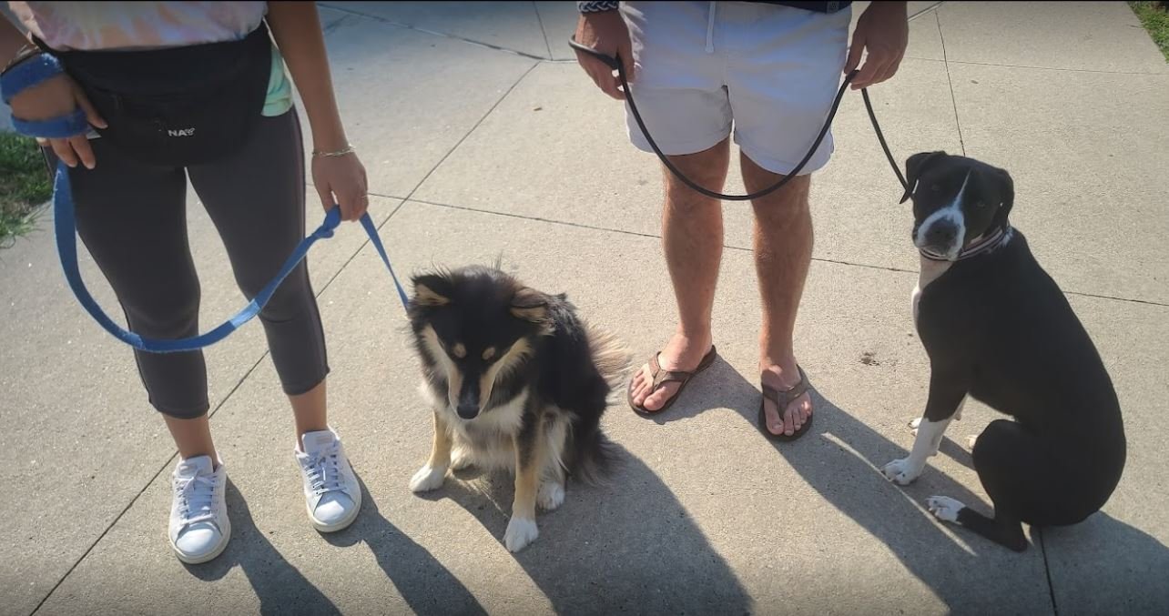 Services Provided: 03 Walk Training.JPG