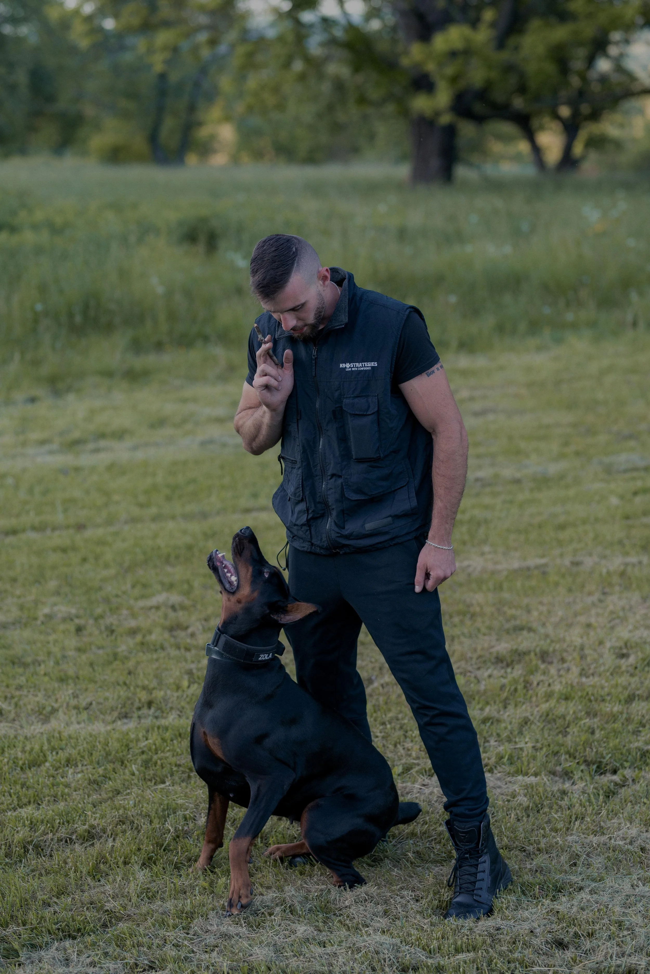 K9 Strategies Offers “The Best” Dog Training Services