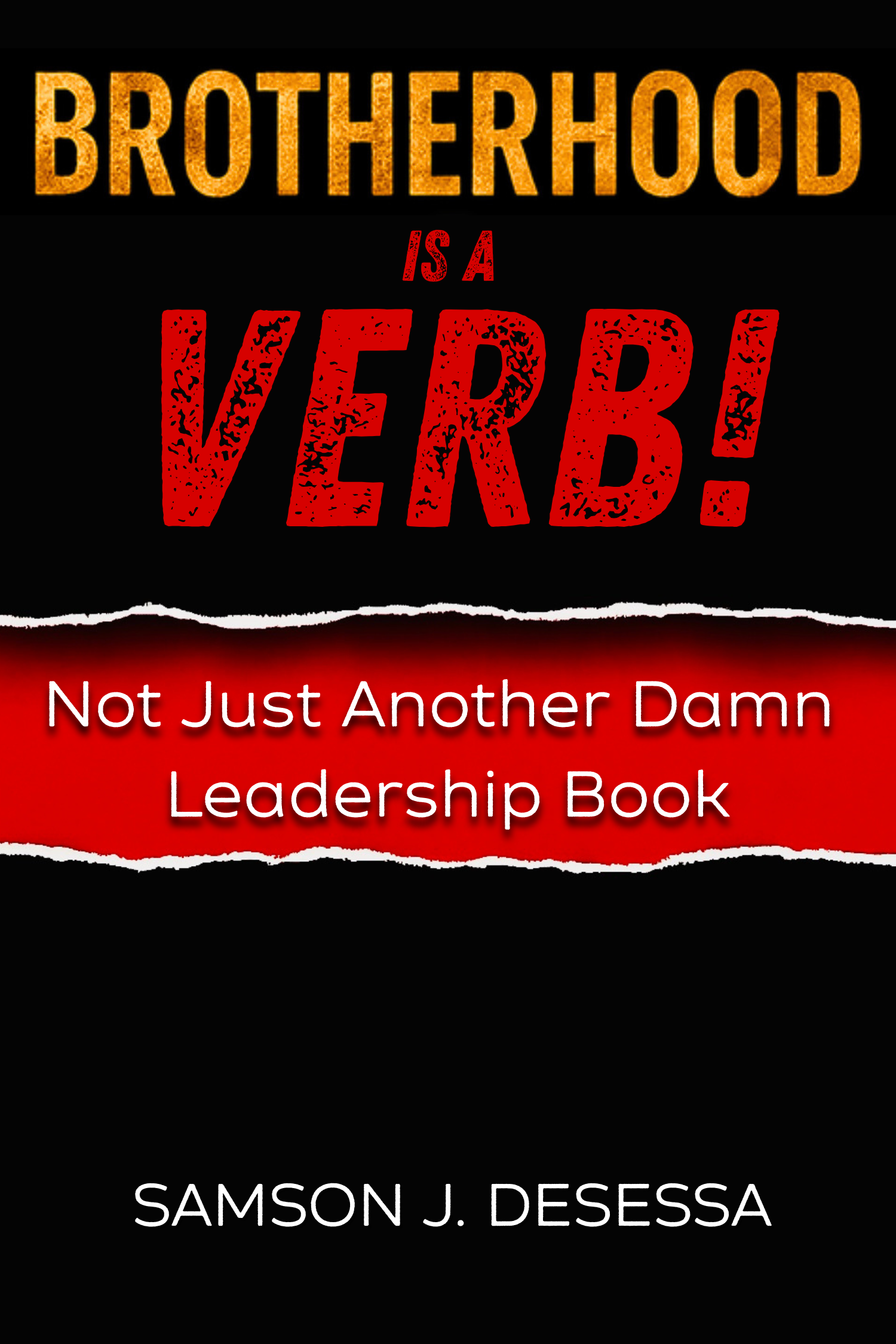 Not just Another Damn Leadership Book.zip - 1.PNG