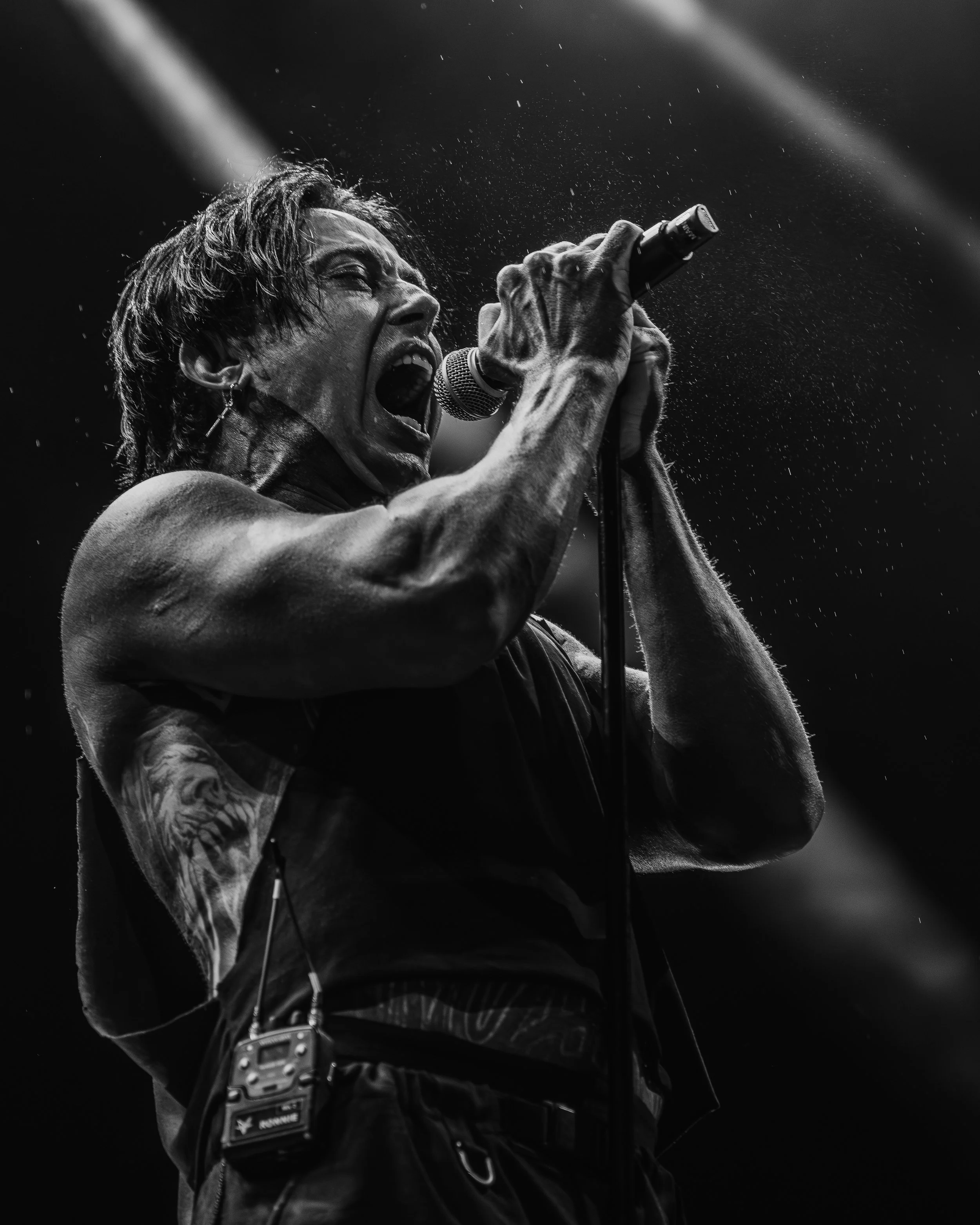 Falling In Reverse