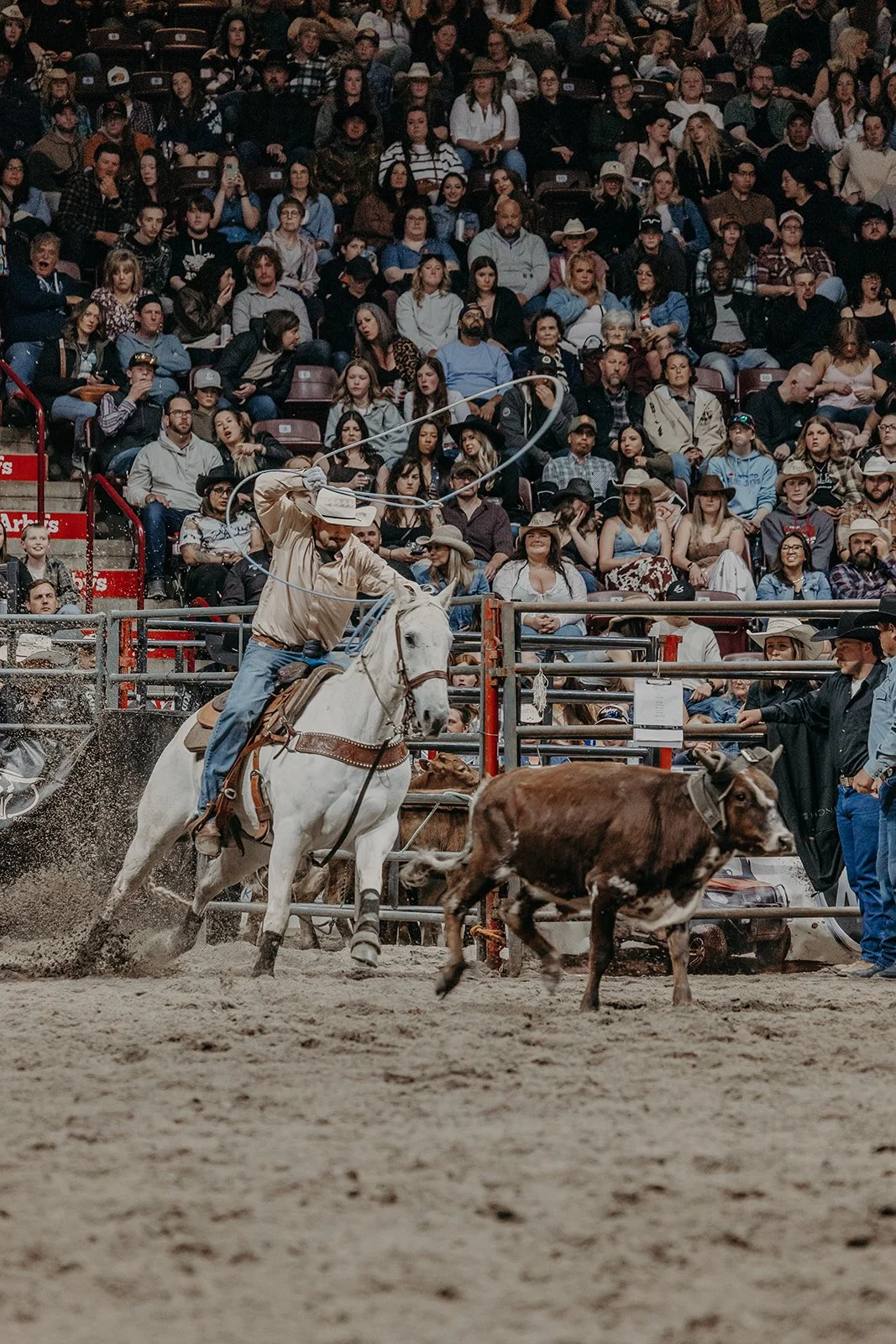 E98A7165.jpg