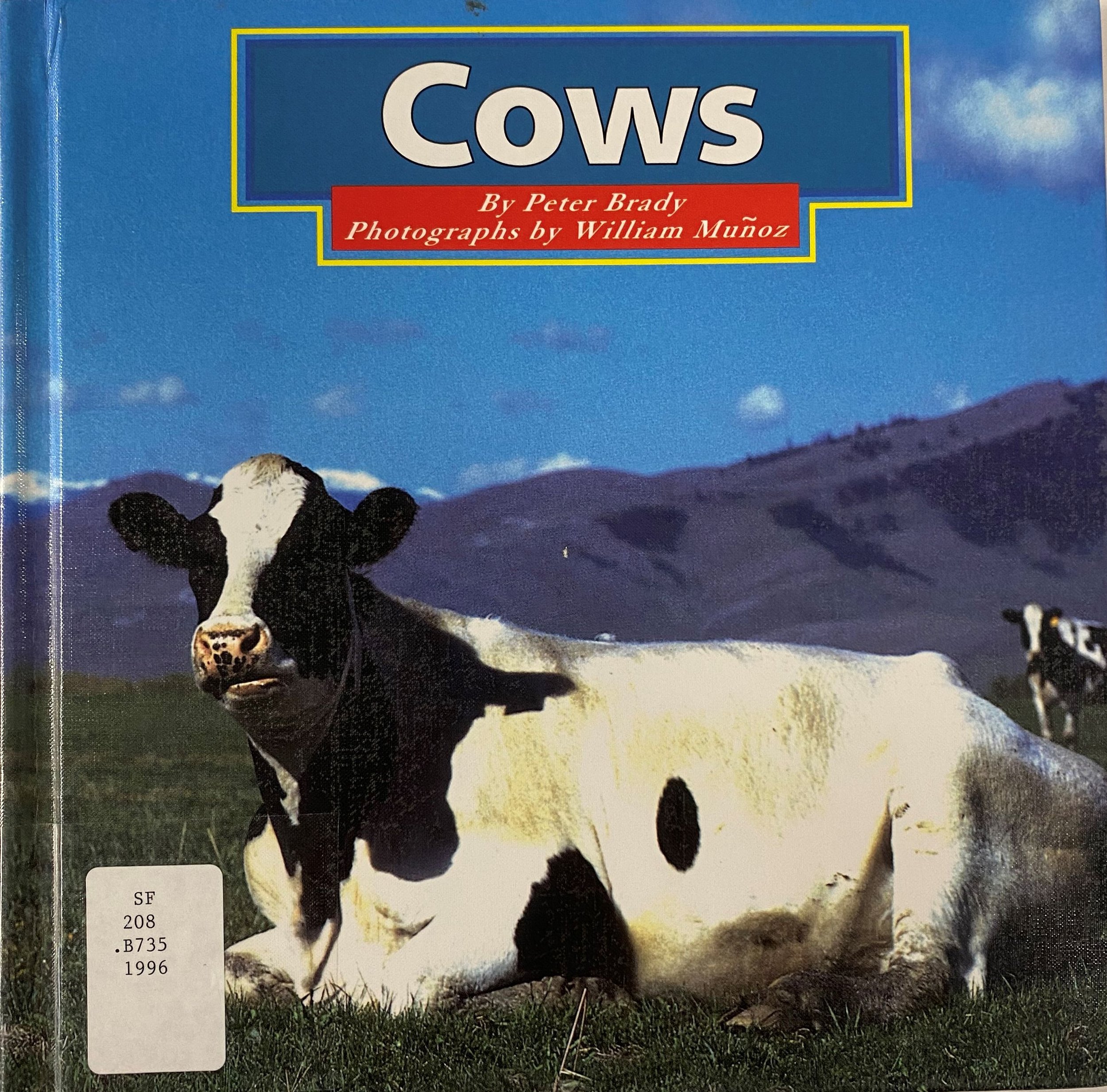 Cows by Peter Brady.jpg