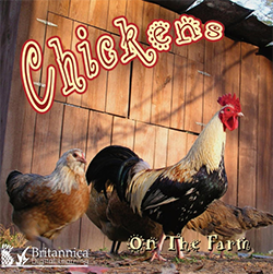 chickens_on_farm.png