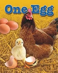 one_egg.jpg