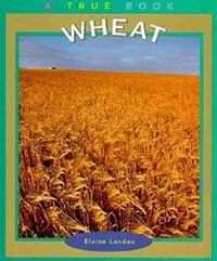 A True Book Wheat.jpg