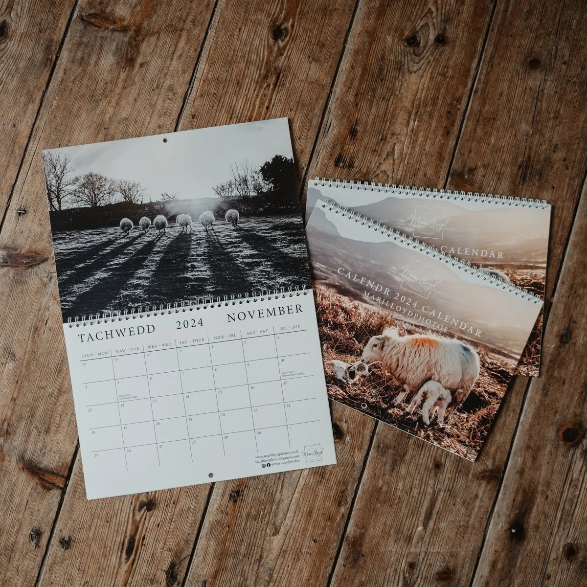 2024 Calendar — Mari Lloyd Photos