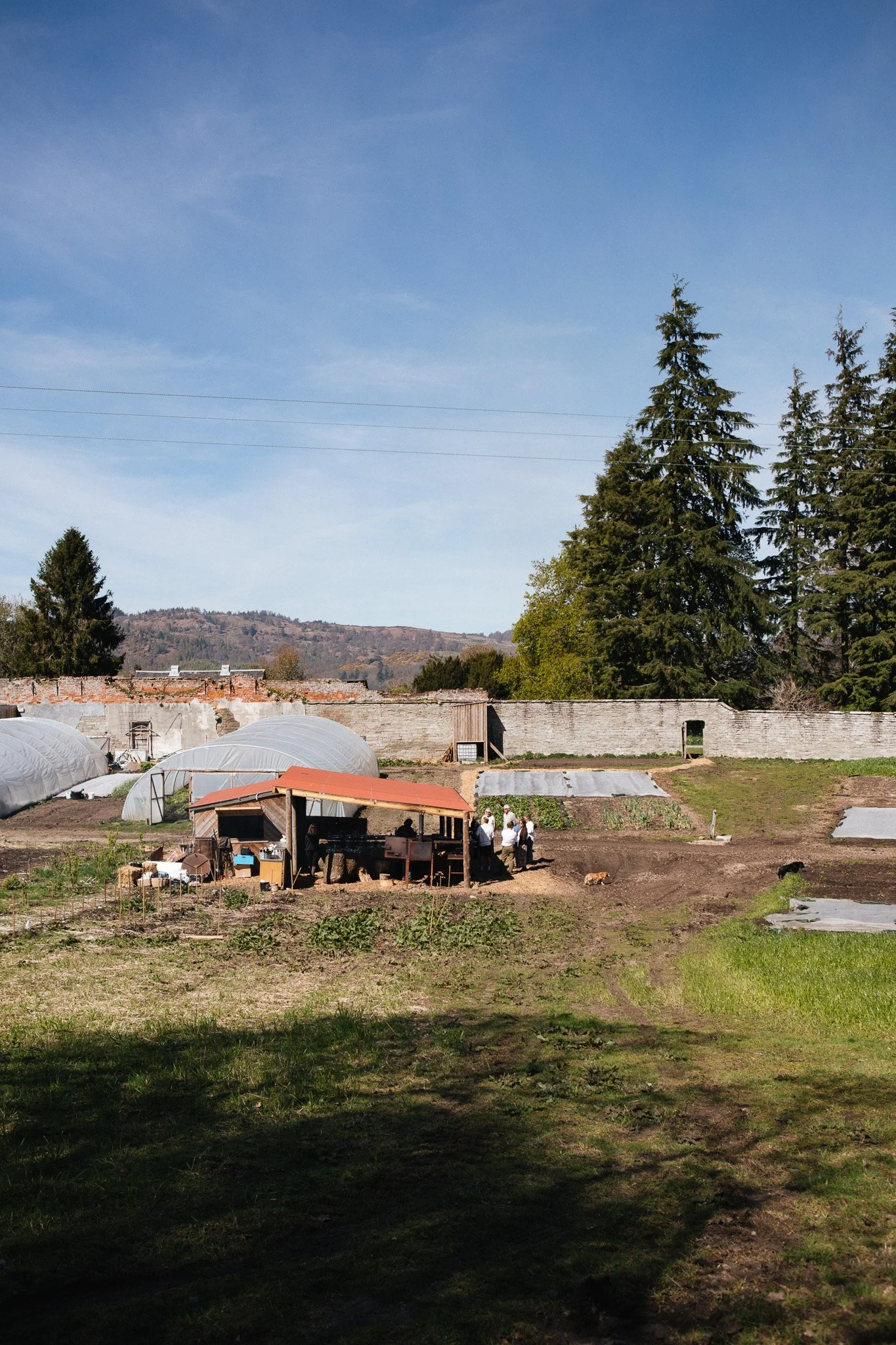 farming kitchen x taybank walled garden_kim grant_39.jpg (Copy)