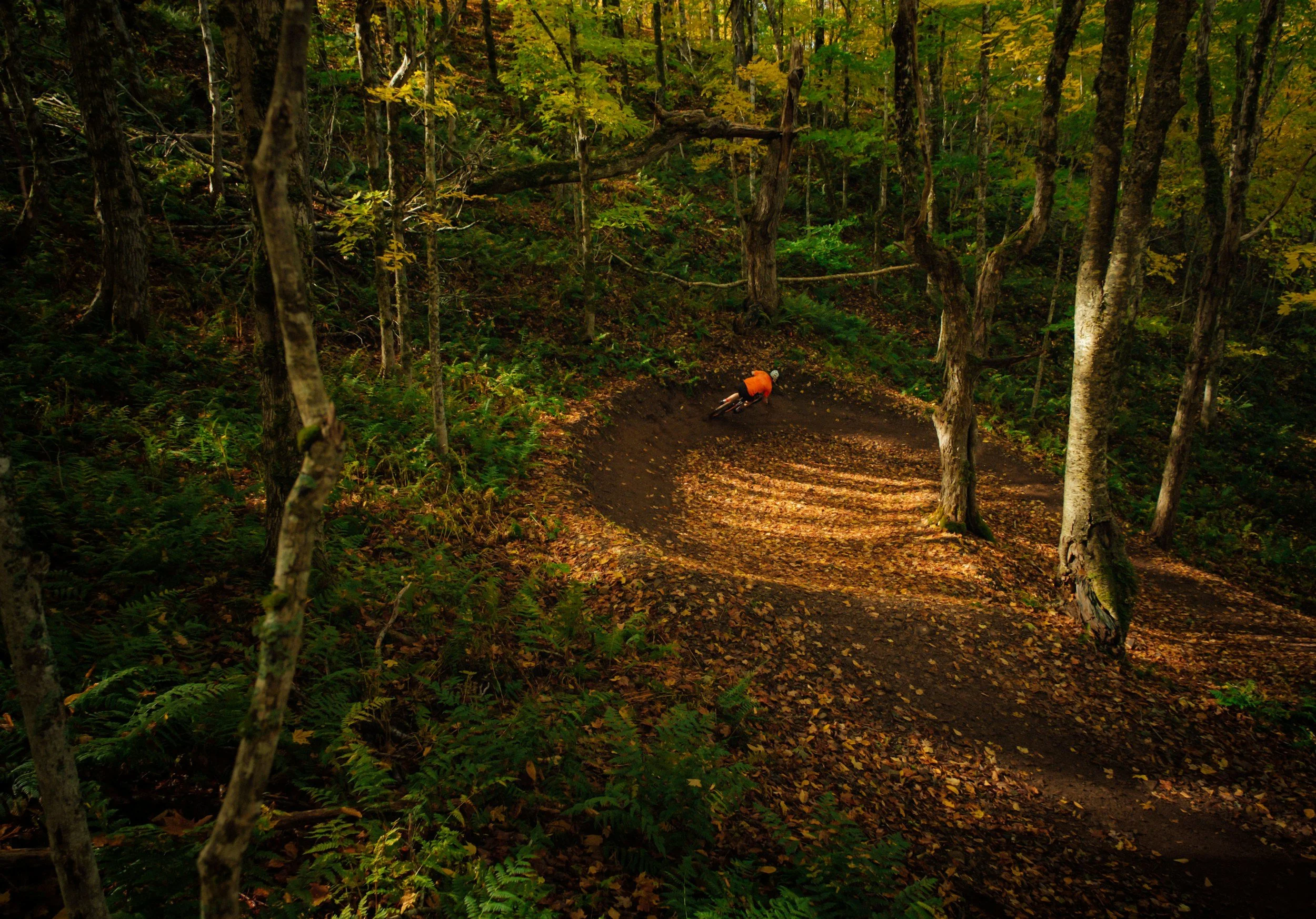 mountain biking activities dunkeld perthshire
