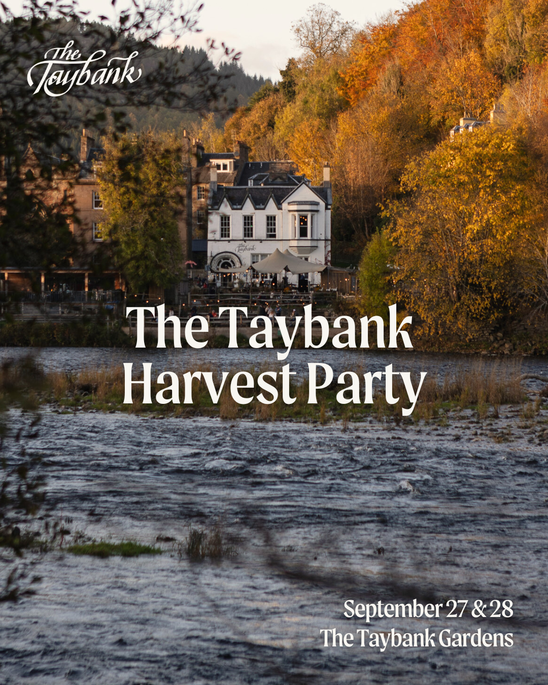 Taybank Harvest Party