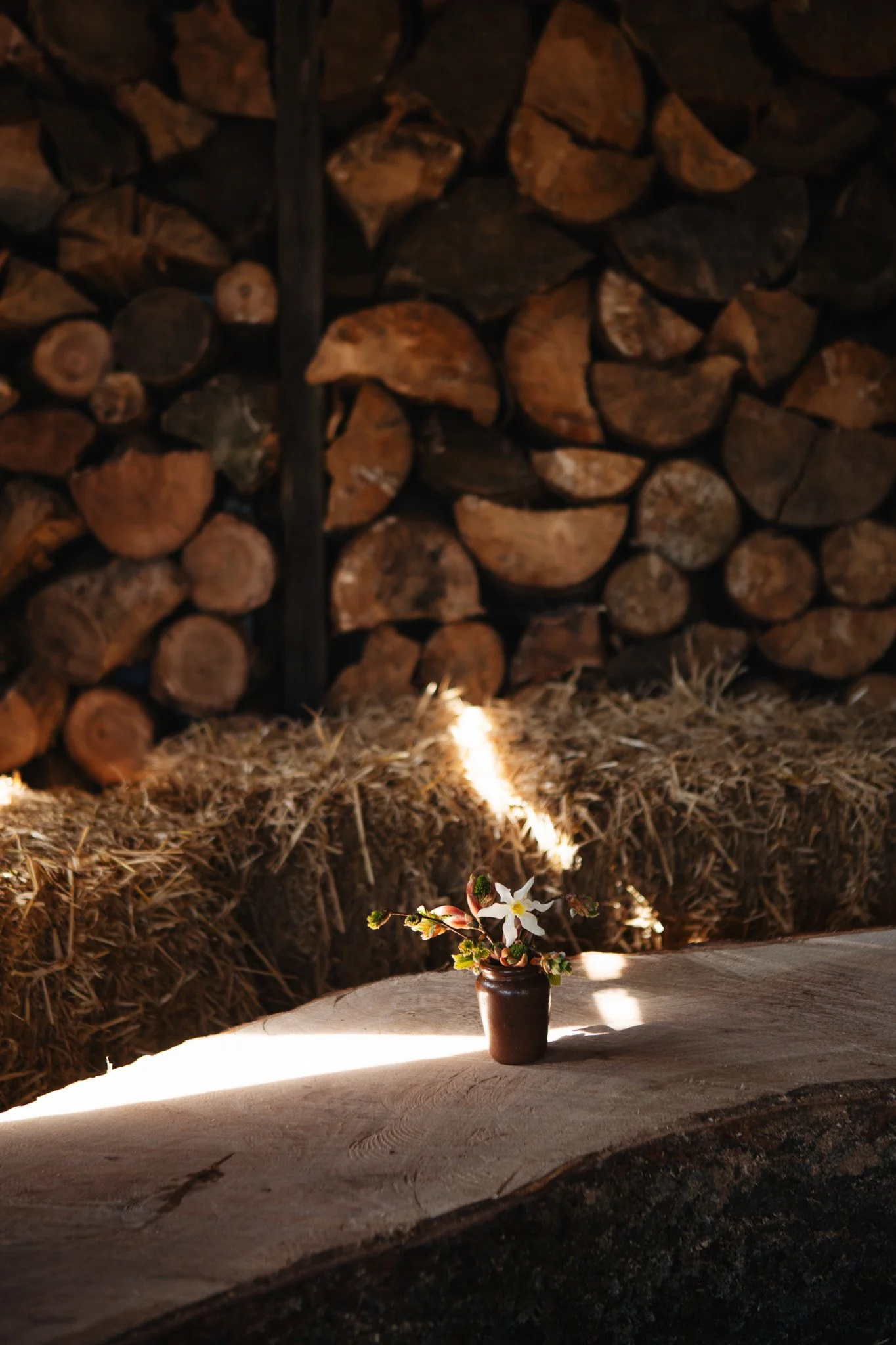 farming kitchen x taybank walled garden_kim grant_12.jpg (Copy)