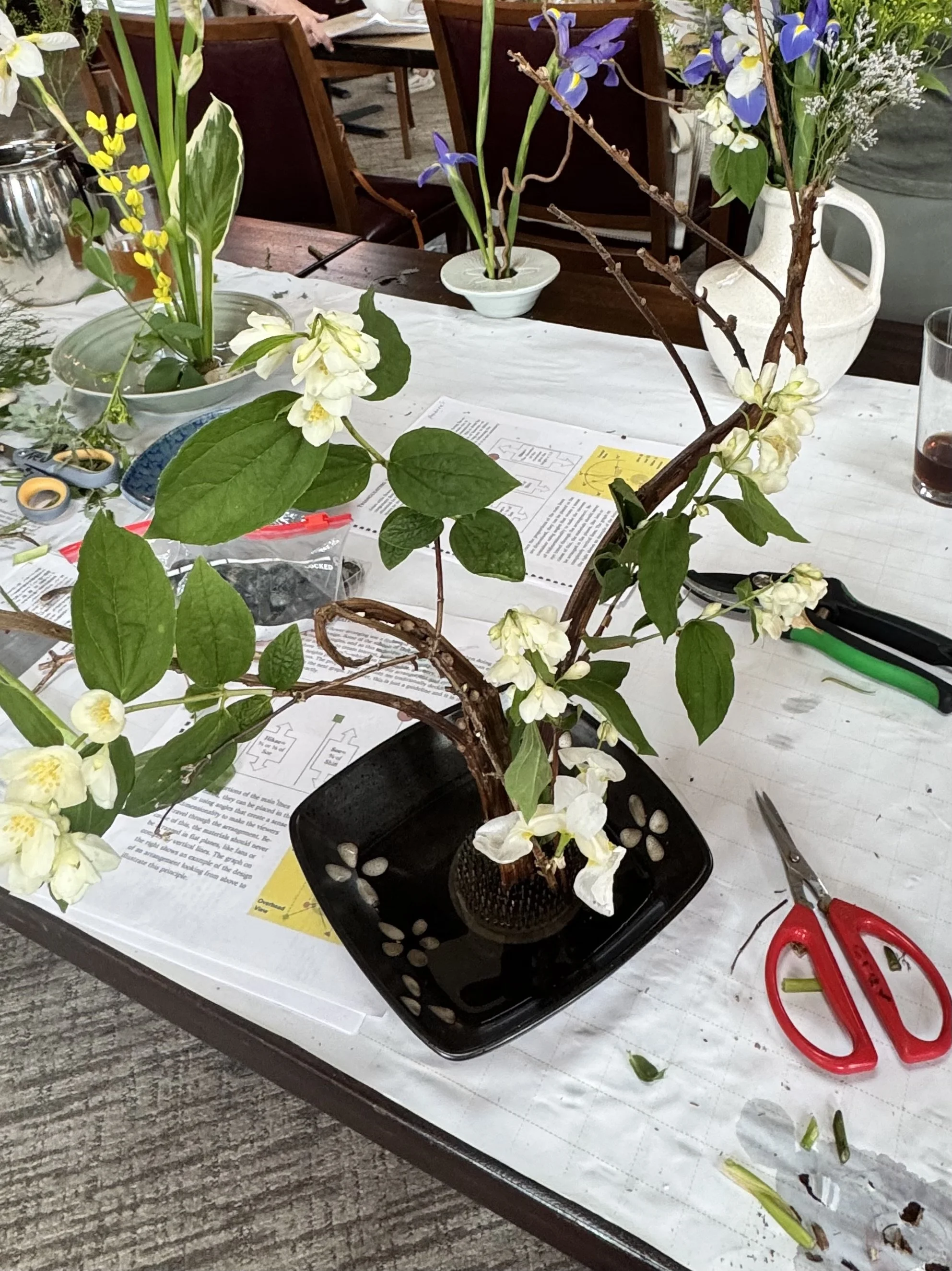 IMG_4420.jpeg
