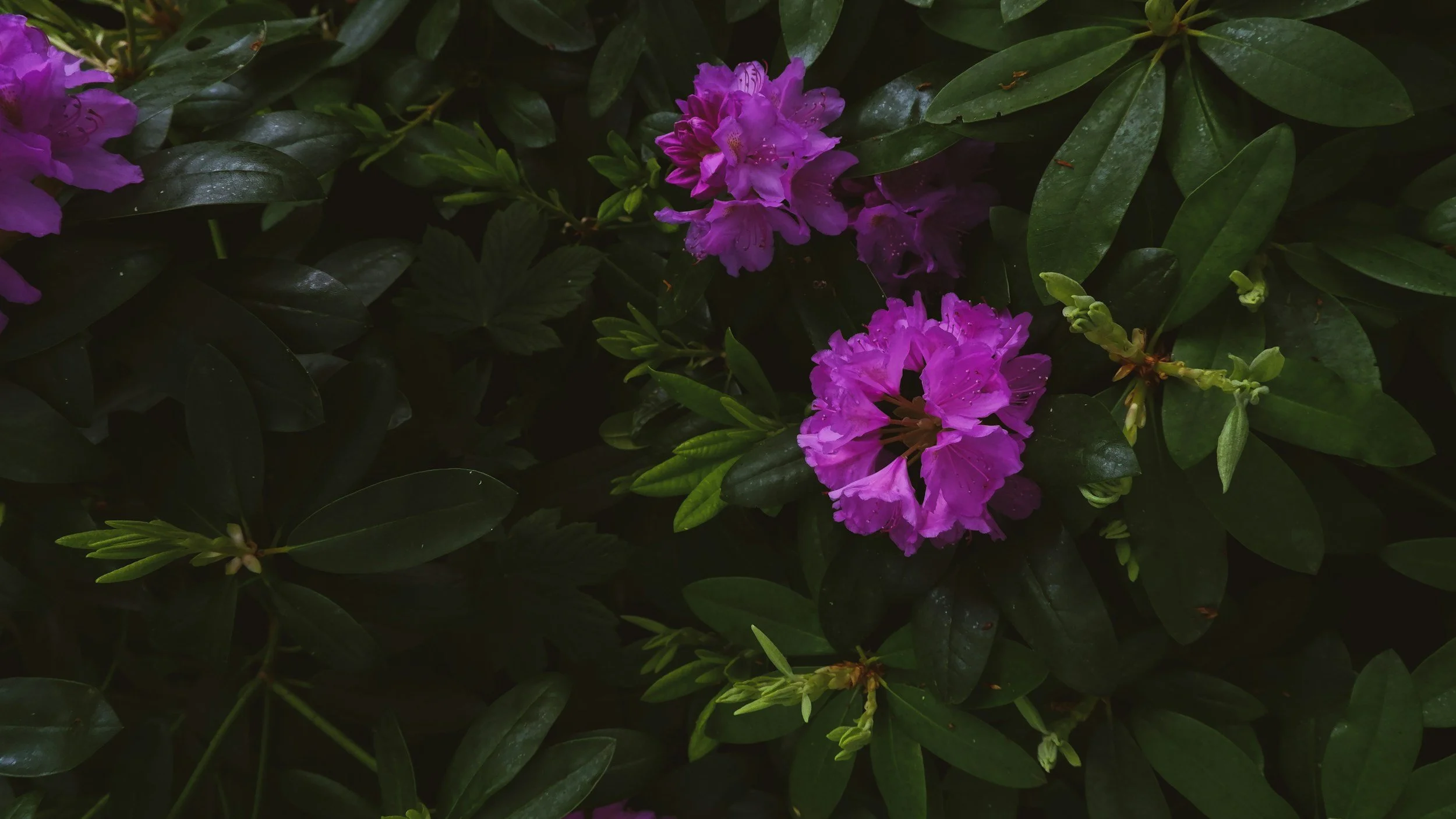 unsplash-image-wCX5MvrJSh8.jpg