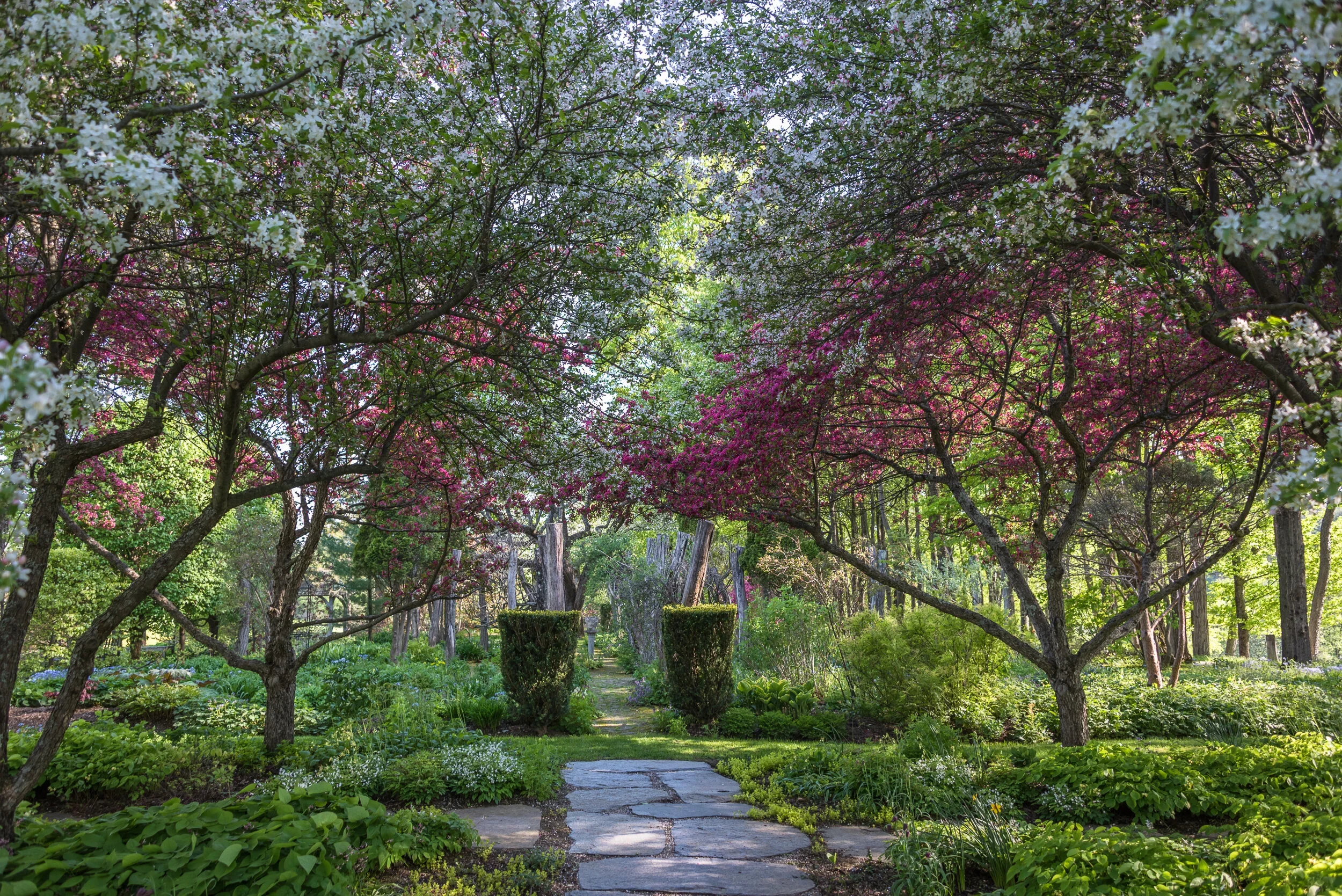 Gordon and Mary Hayward’s Garden-Putney, VT