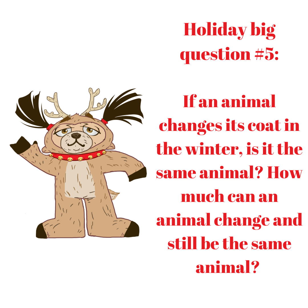 Holiday Question 5.png