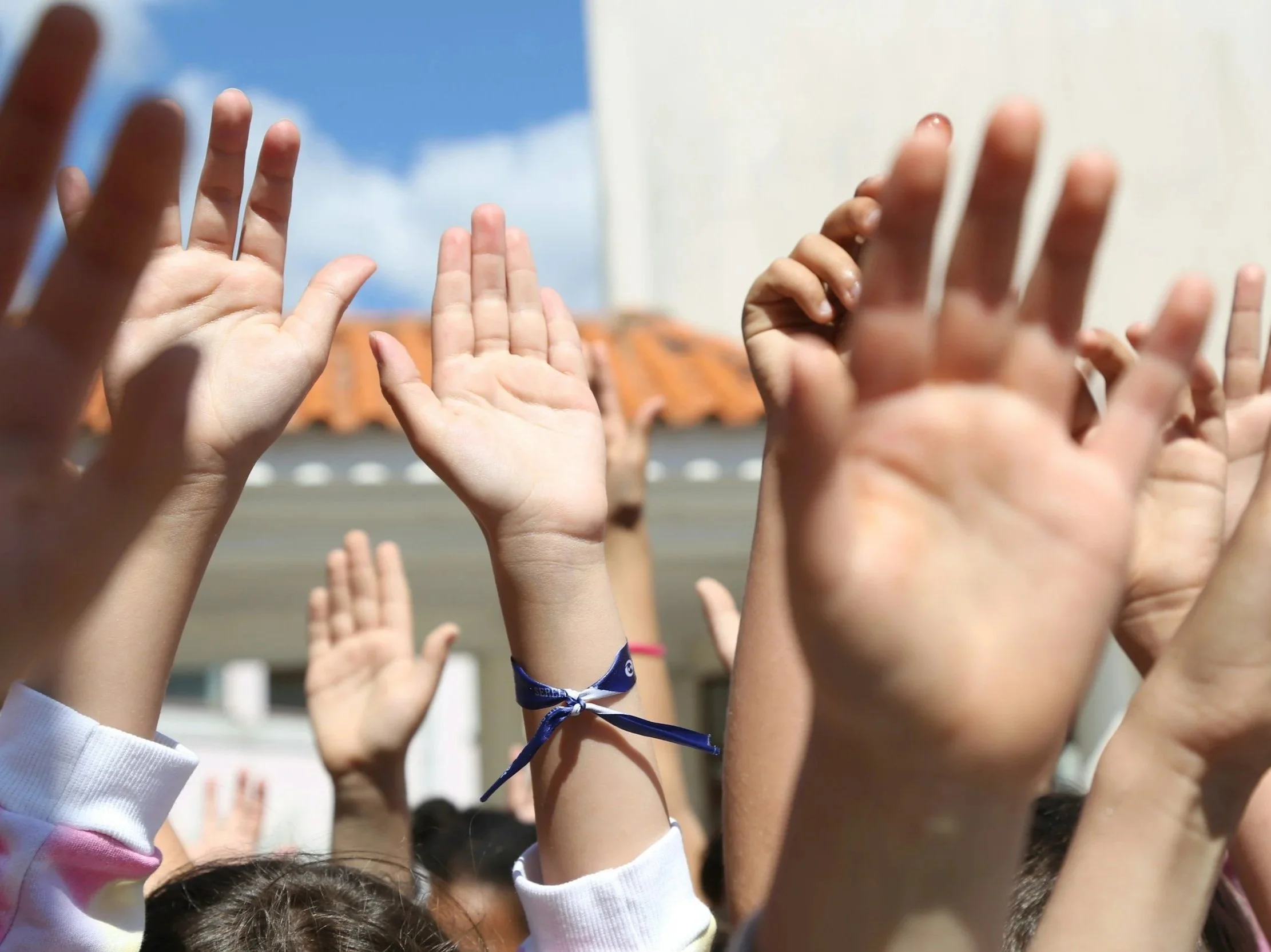 Lesson Plan: Question Avalanche