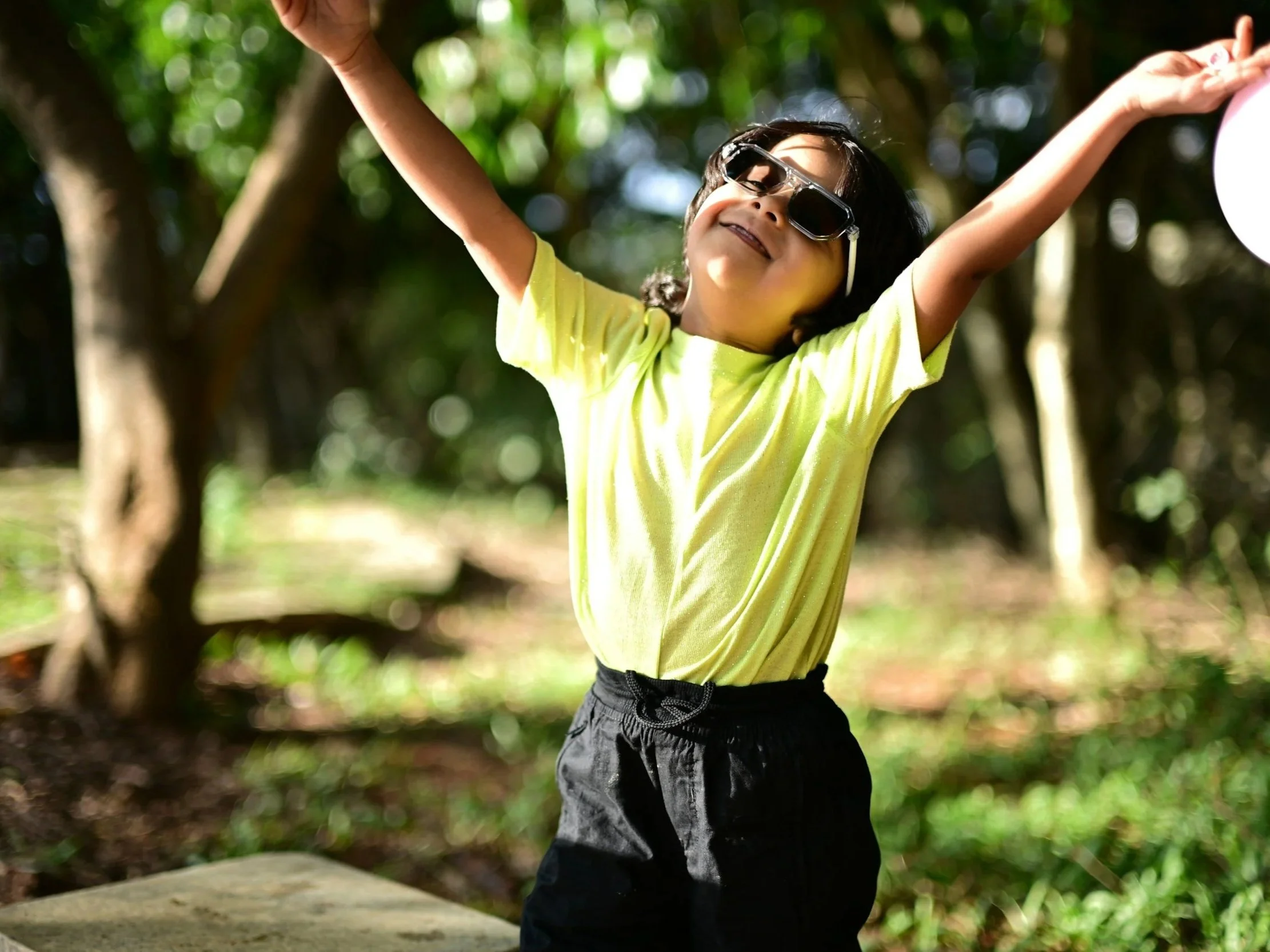 Lesson Plan: Extremely Cool Questions