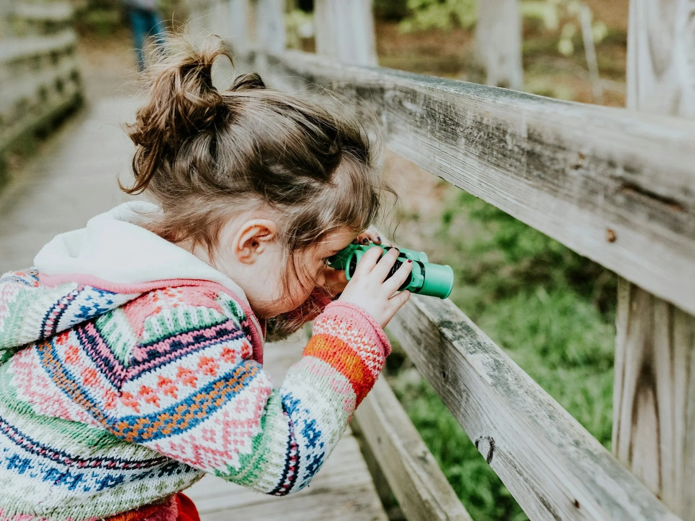 Lesson Plan: I Was Wondering About The Environment