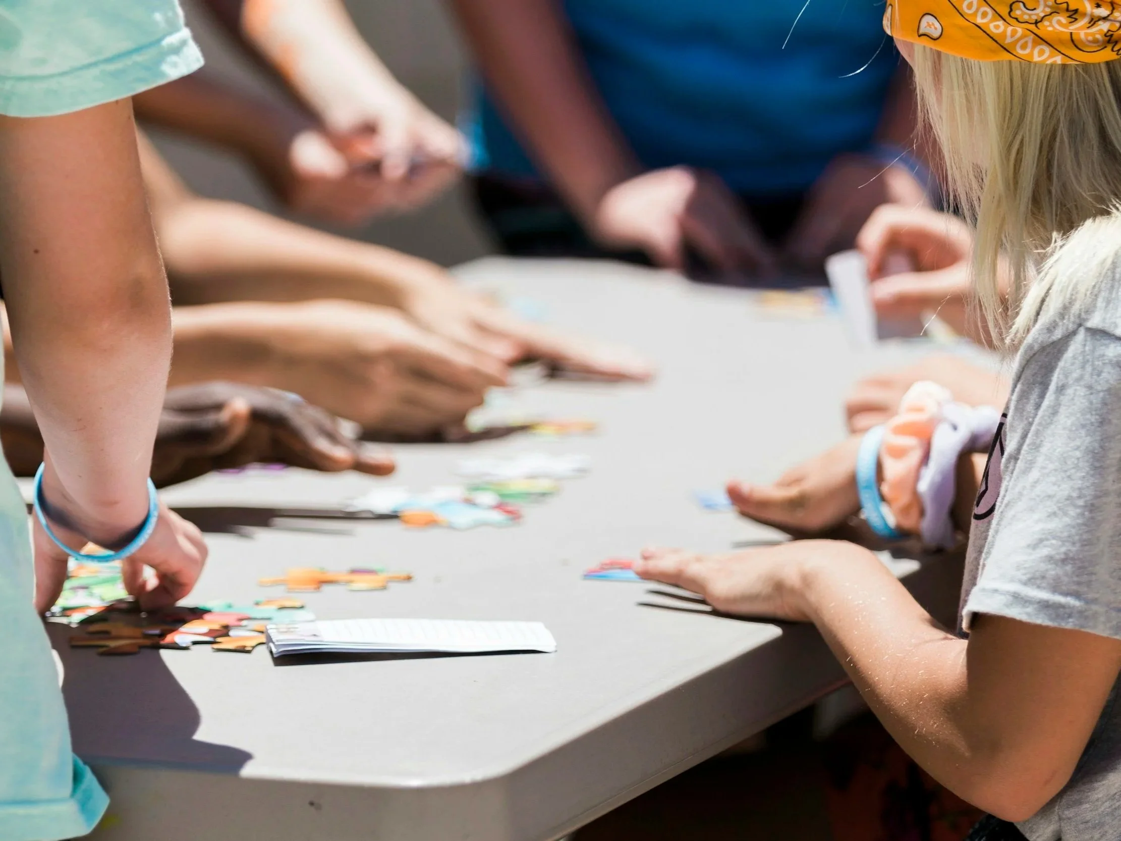 Lesson Plan: Rules For Some, And Rules For All