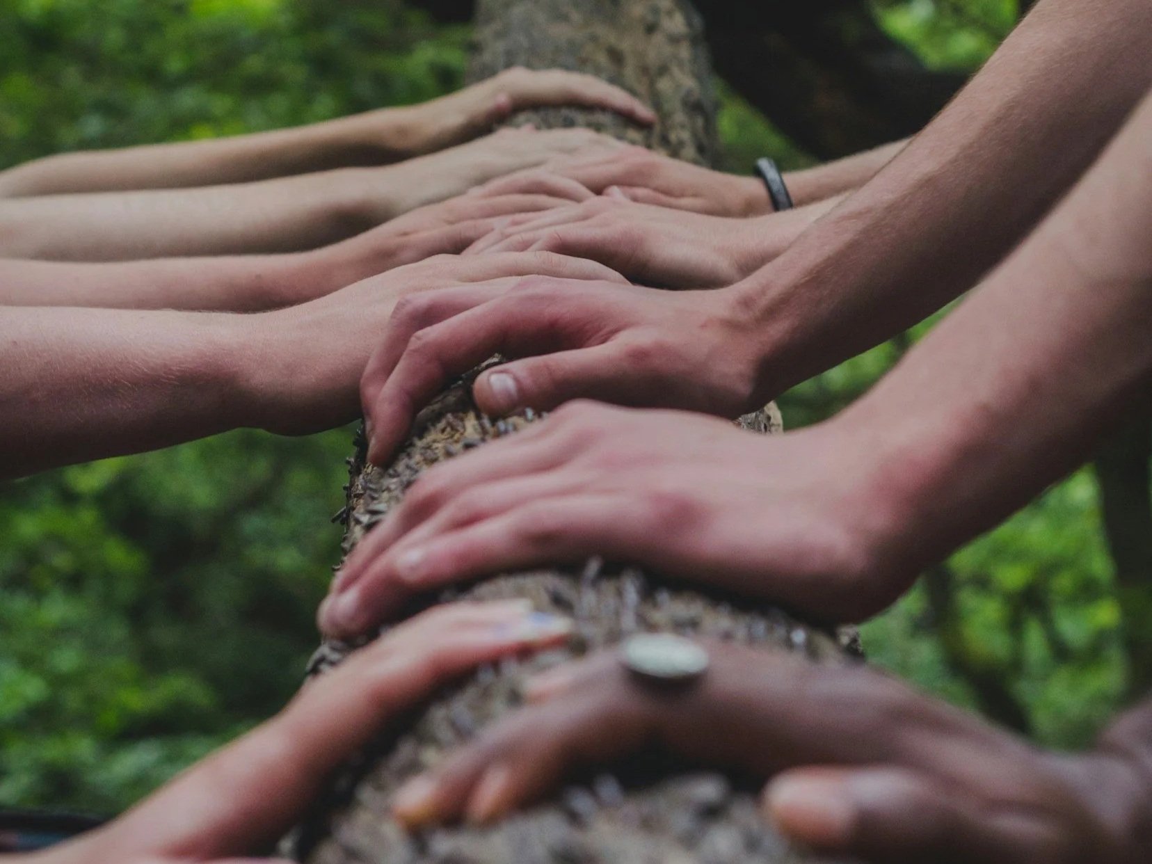 Lesson Plan: Our Thinking Community