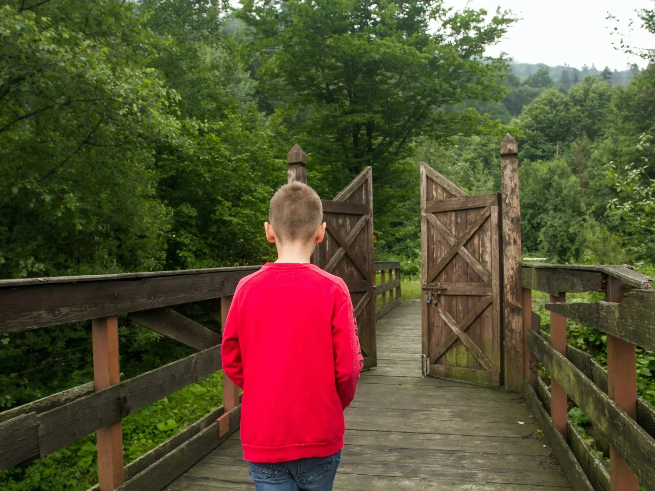 Lesson Plan: The Art Of Making Decisions