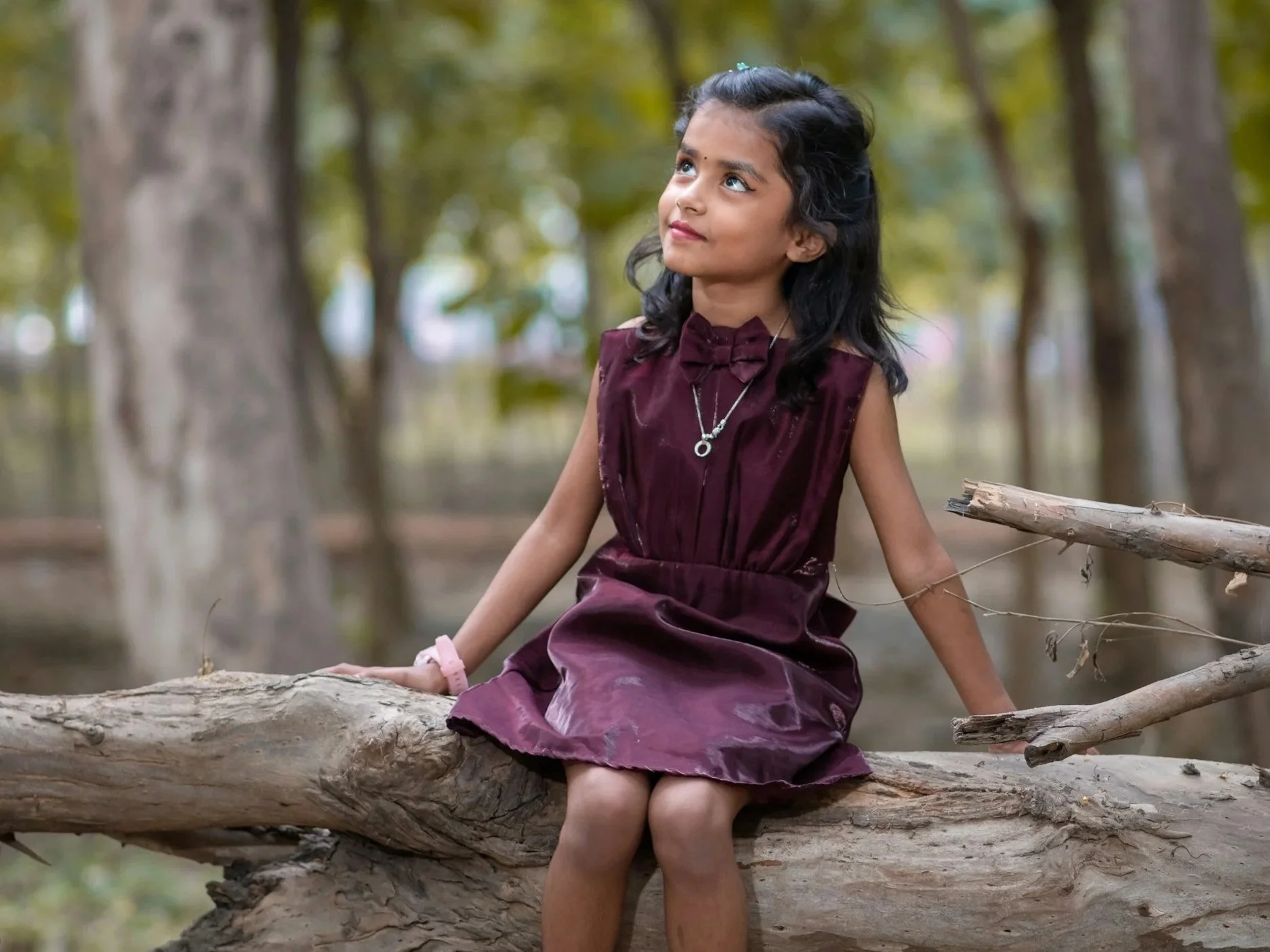 Lesson Plan: I Was Wondering About Imagination