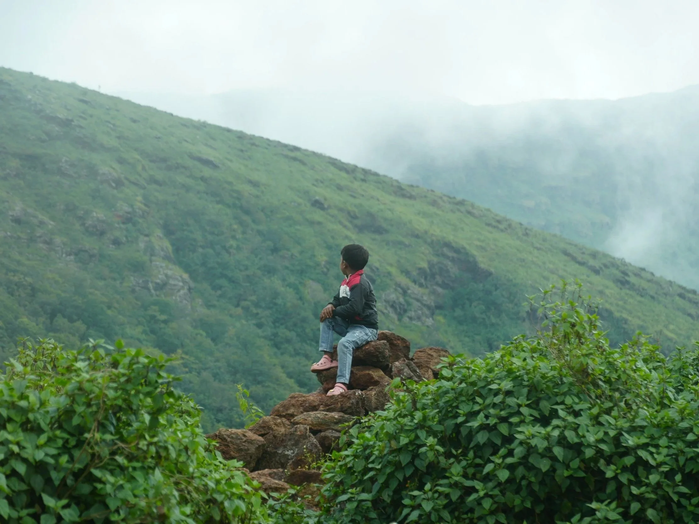 Lesson Plan: How Do You Know? 