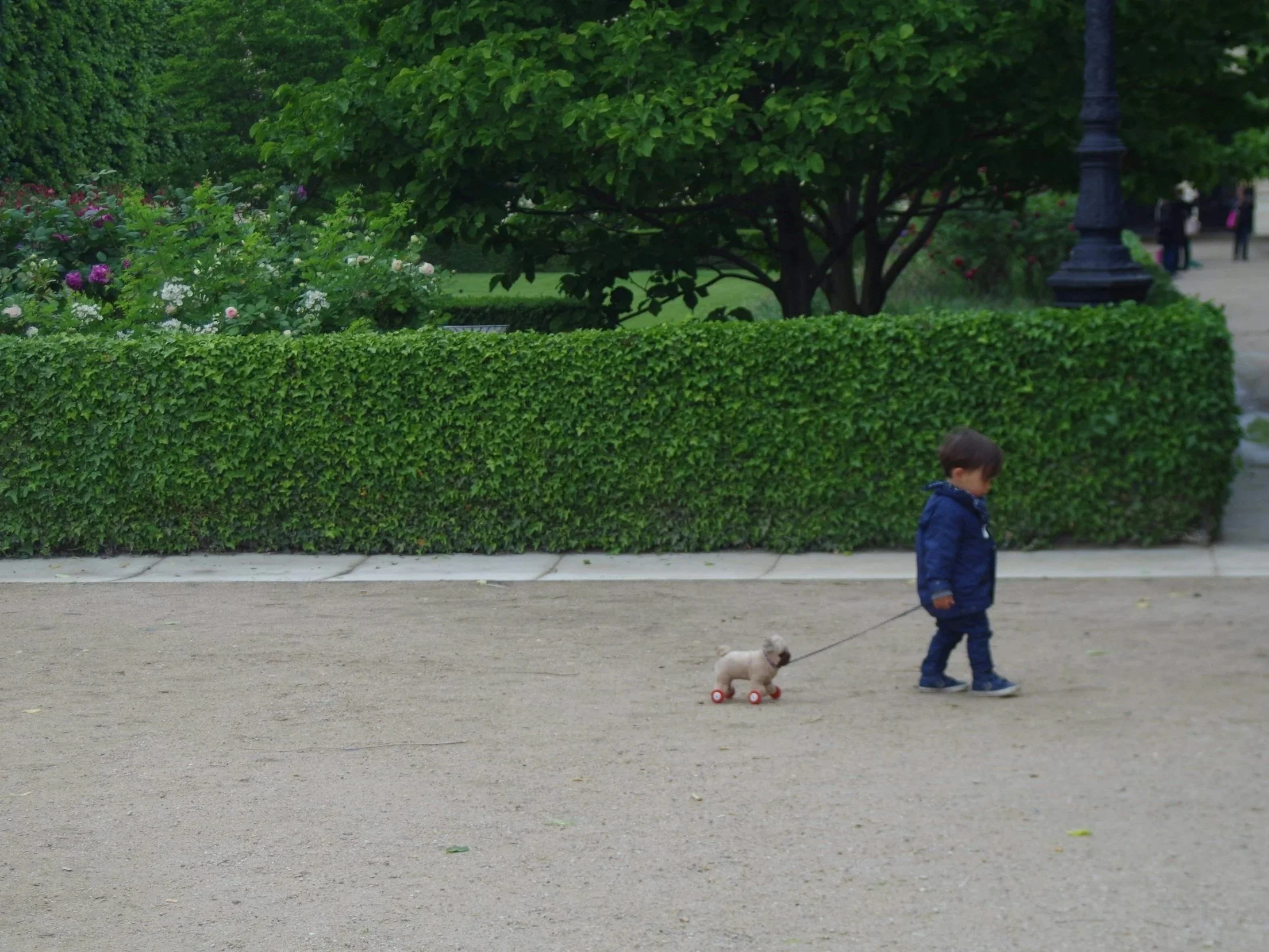 Lesson Plan: I Was Wondering About Leadership