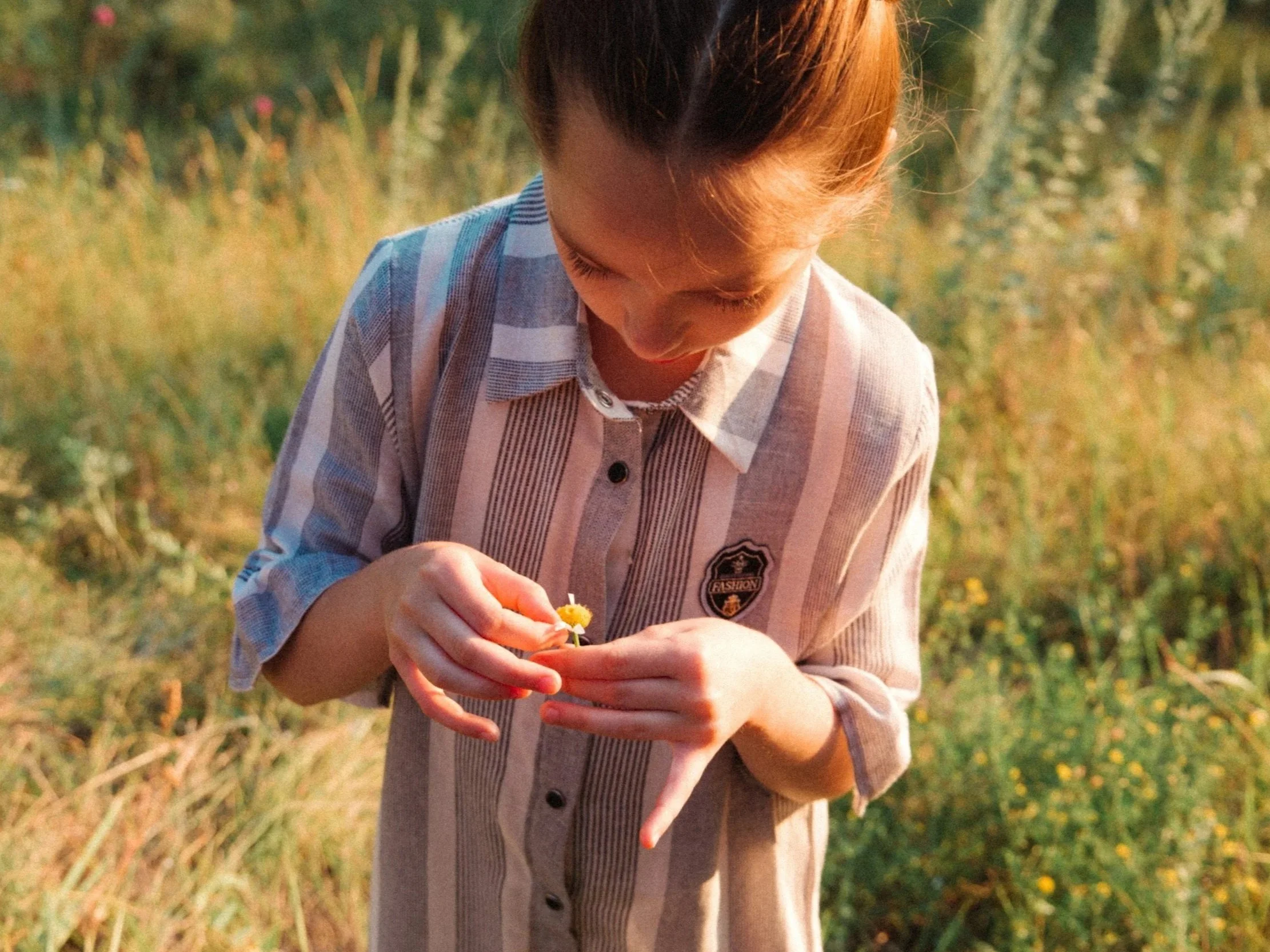 Lesson Plan: It’s Alive! Or Is It?