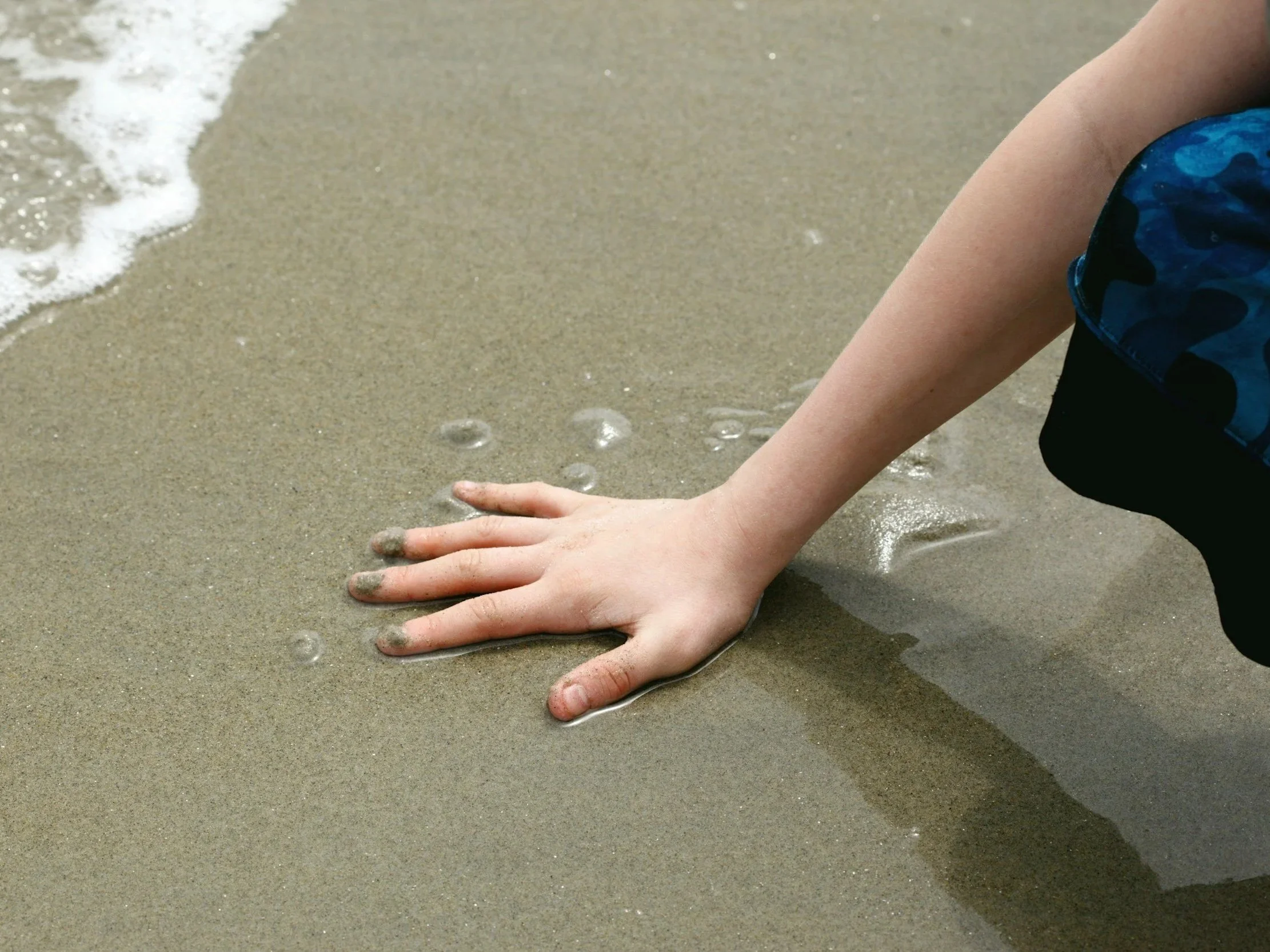 Lesson Plan: Where Does Knowledge Come From? 