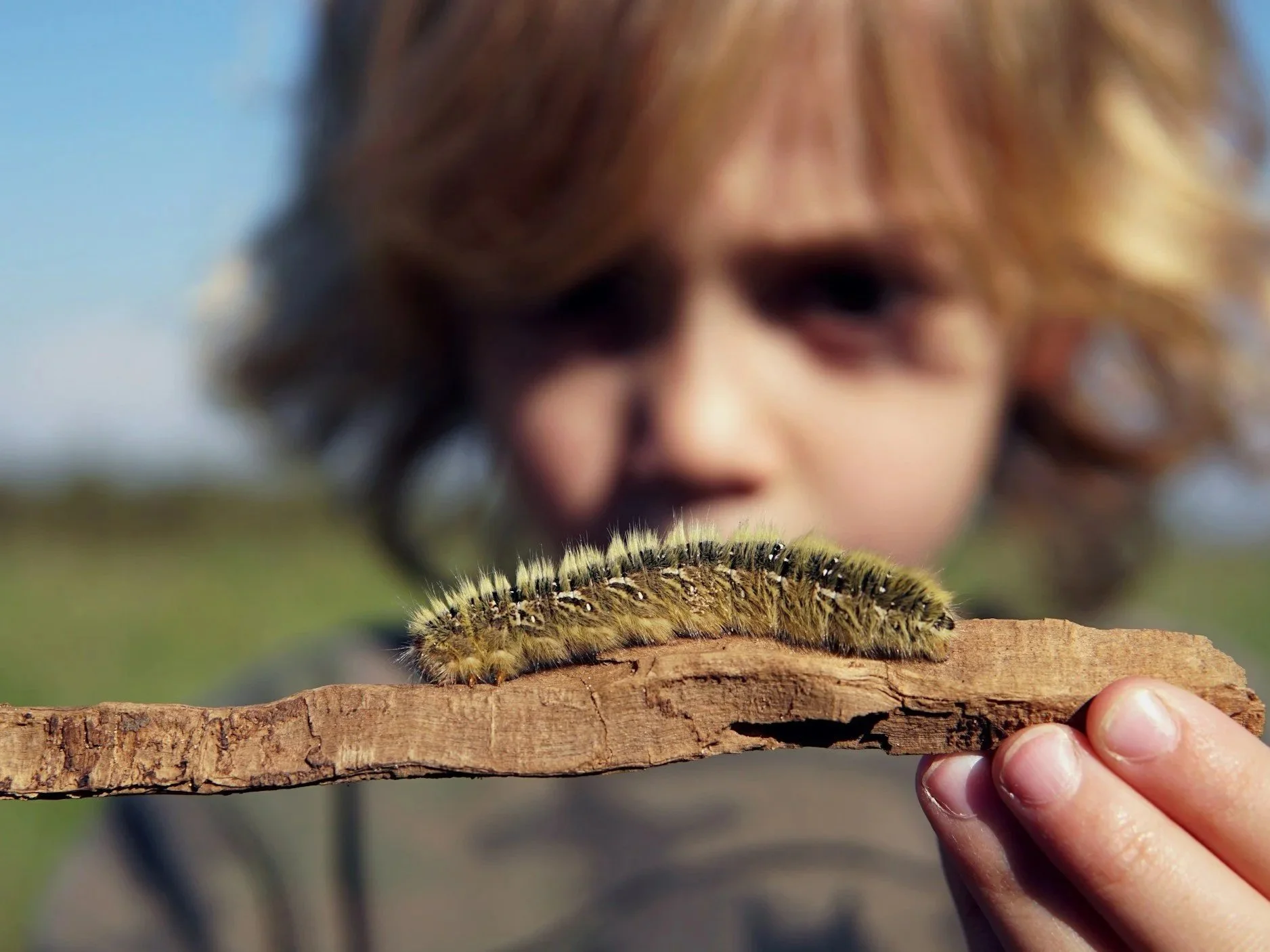 Lesson Plan: Connections