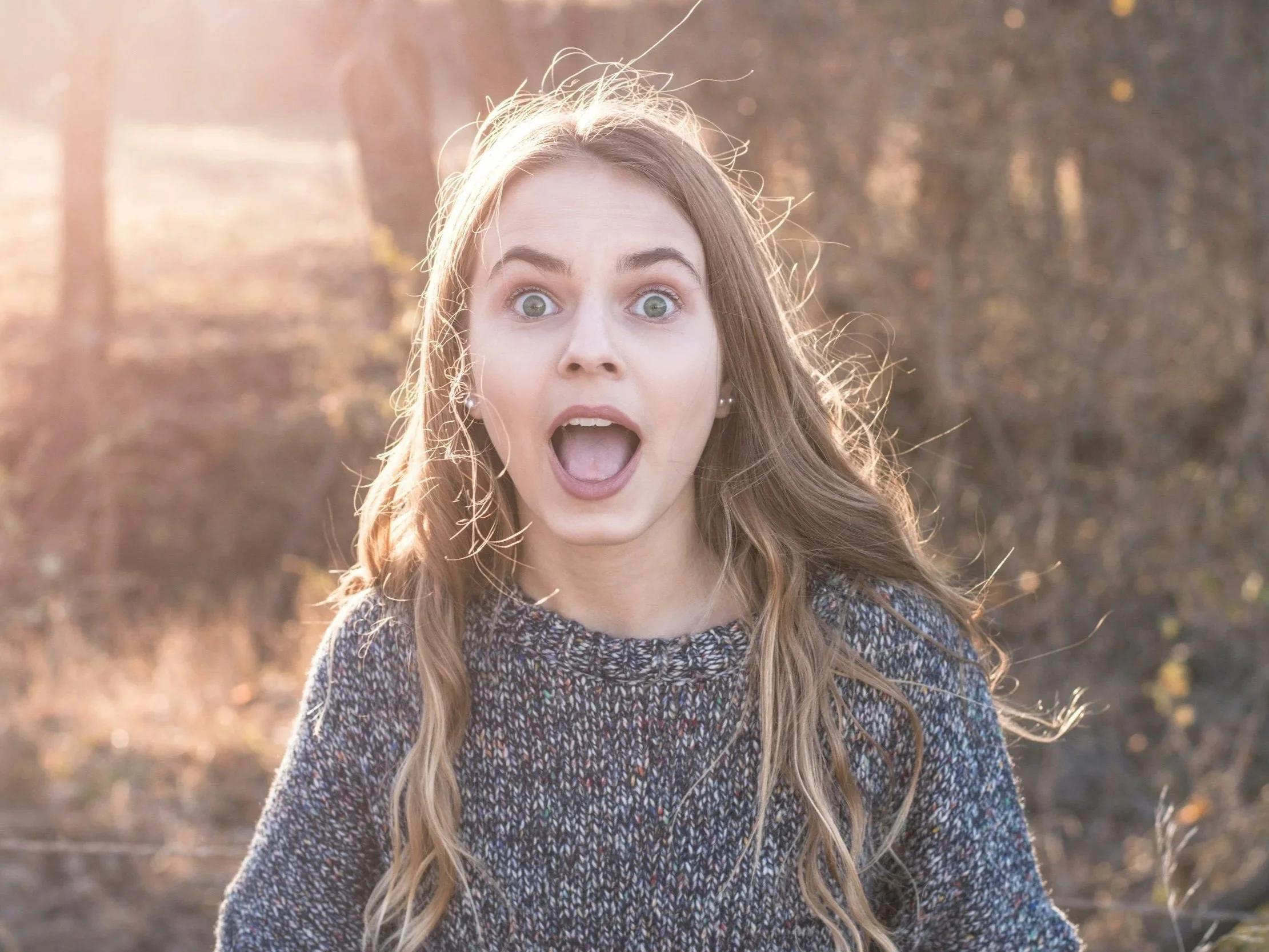 Lesson Plan: Beautiful By Surprise