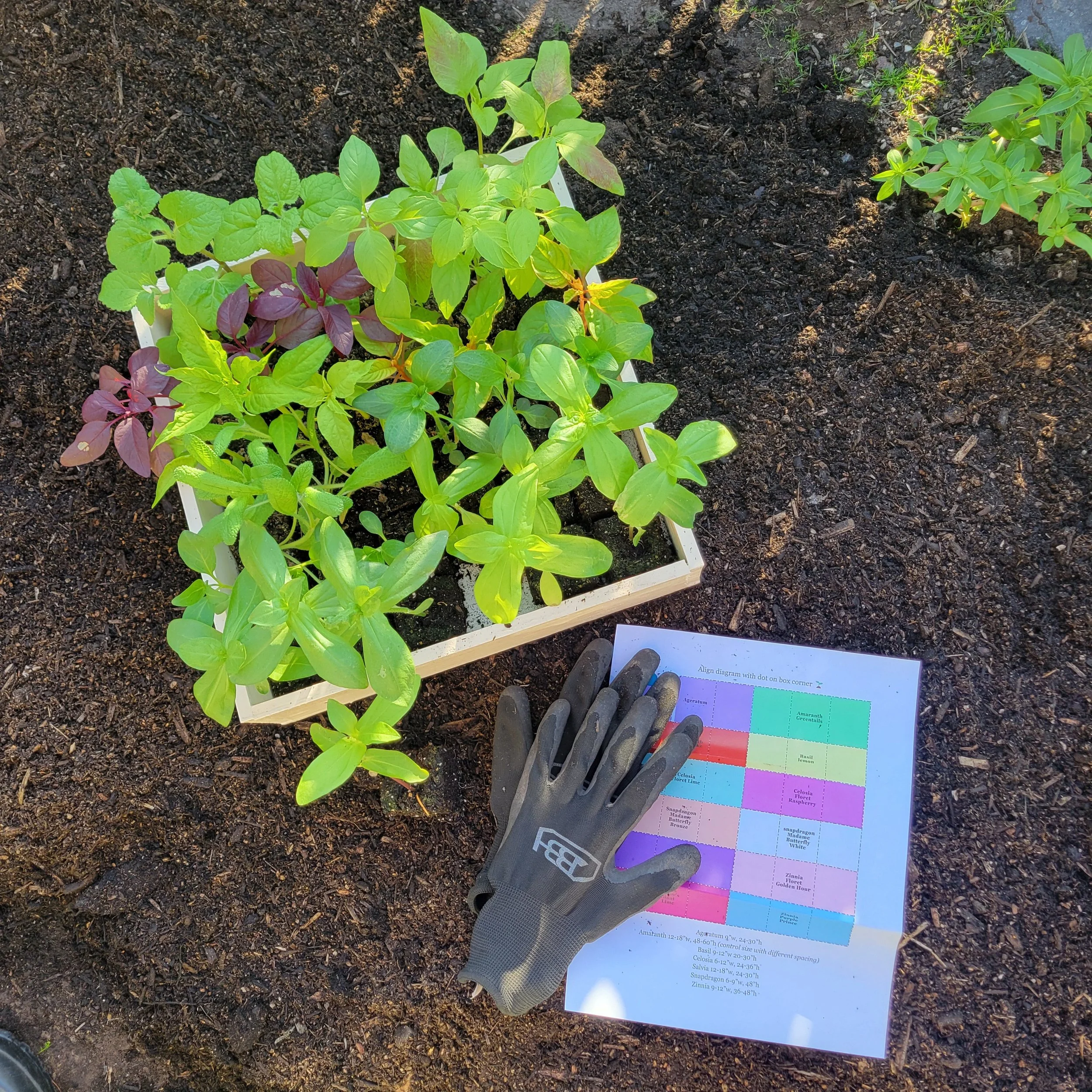 Shop is currently resting between offerings. Bloom Box preorders coming soon.