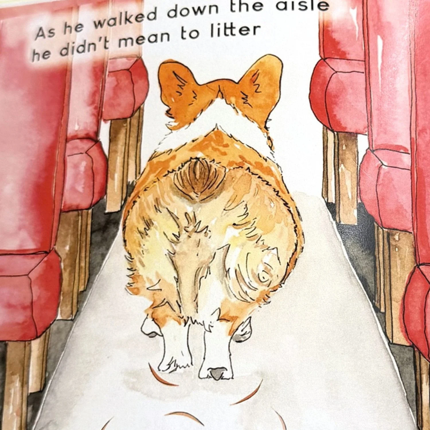 What Is a Corgi? A Kid's Guide to the Dog in the Book