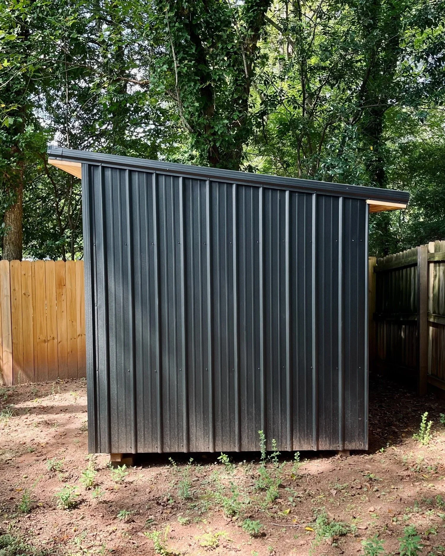 The Shed - Modular Dwelling