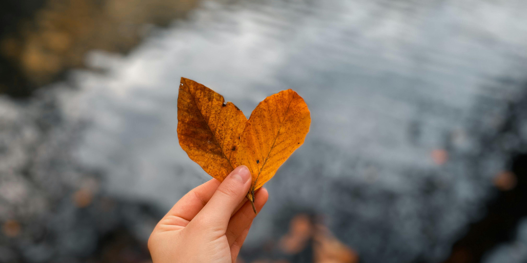 2025 - website (11).png