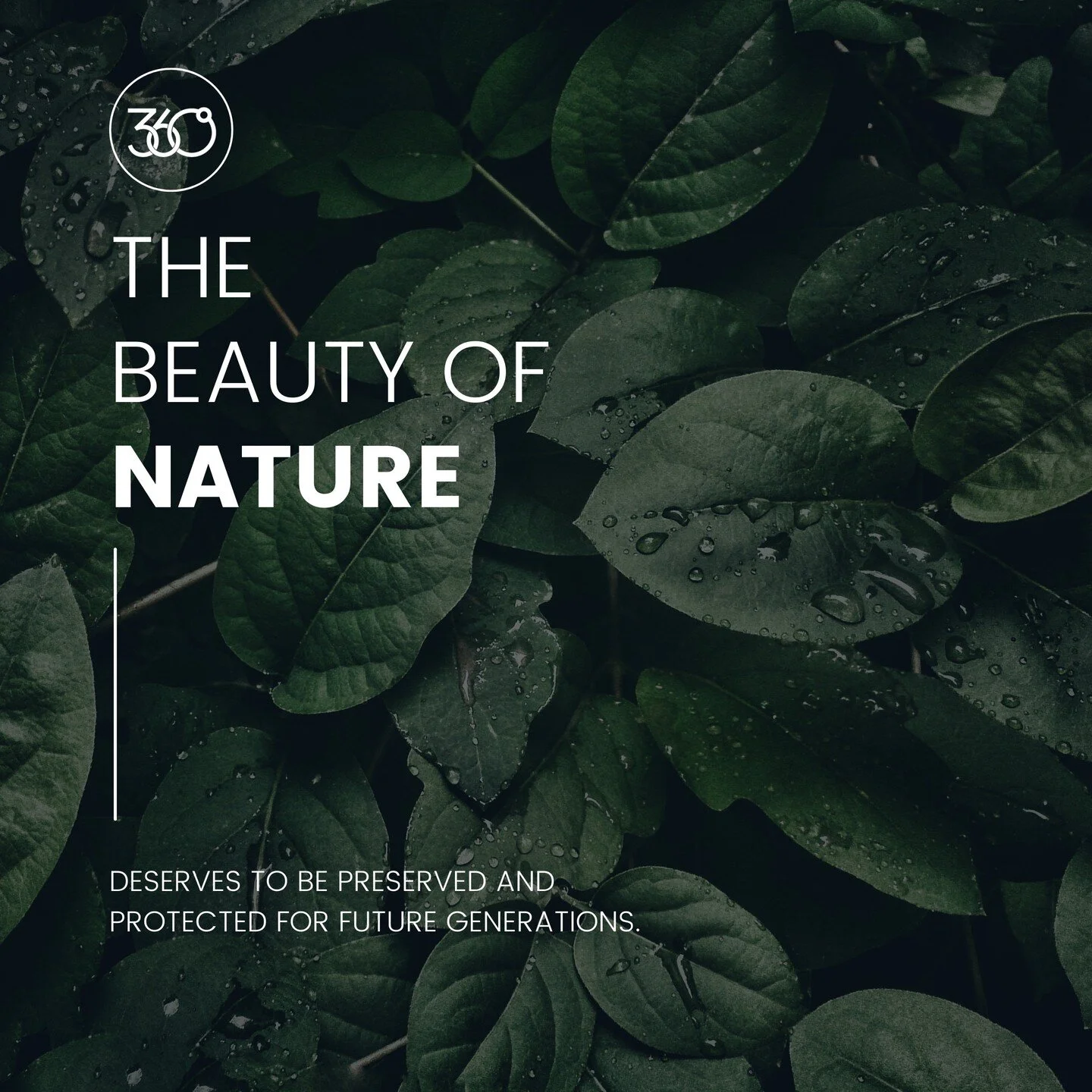 Wander. Explore. Protect. Here at Concept 360, we're inspired by the breathtaking beauty of our planet, and dedicated to safeguarding it for future generations. That's why we work with national parks &amp; public lands to bring you quality apparel &a