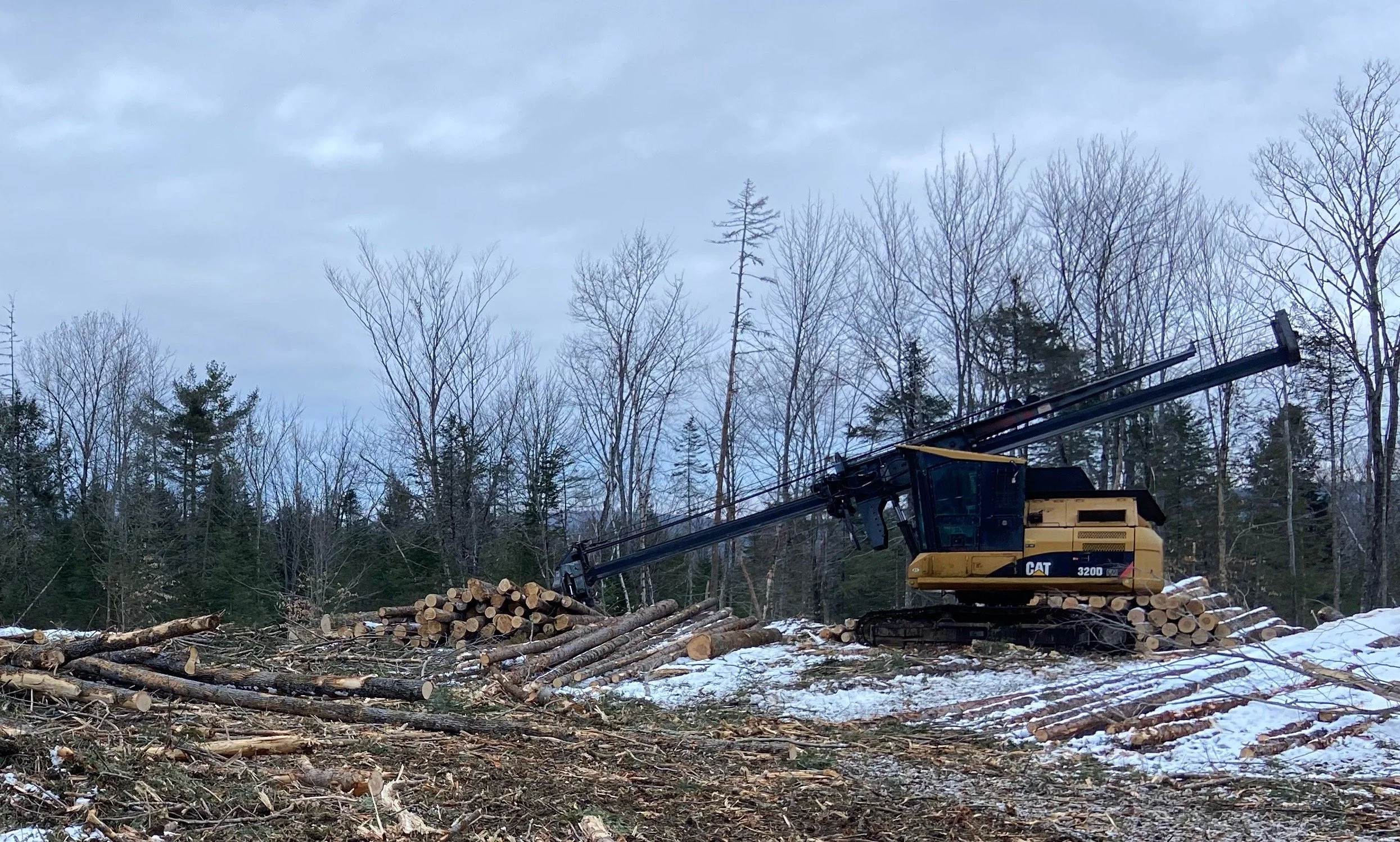 Stroke de-limber rapidly removes tree limbs on landing.