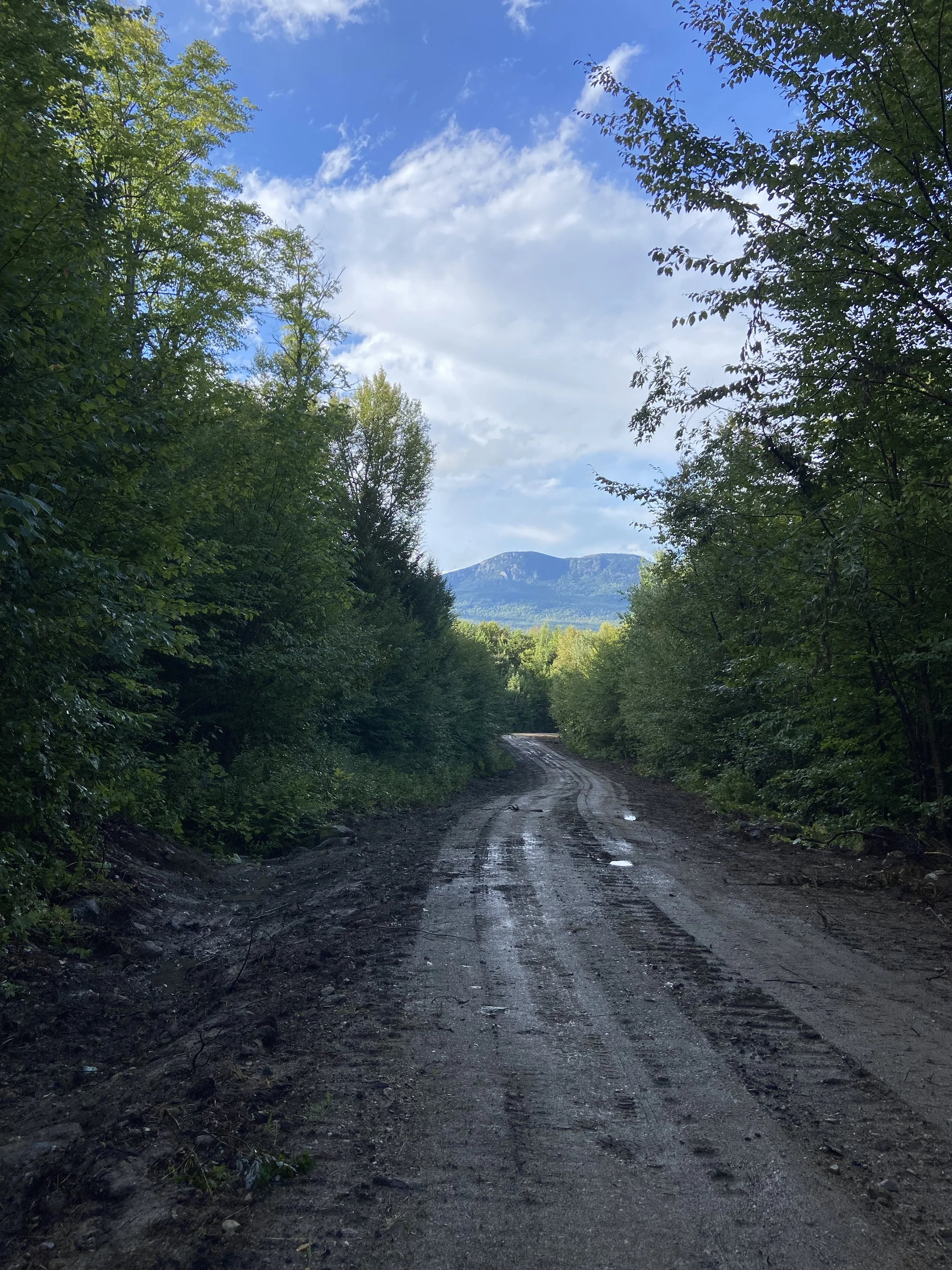 Roadway Rebuilt - Ditched and Sloped