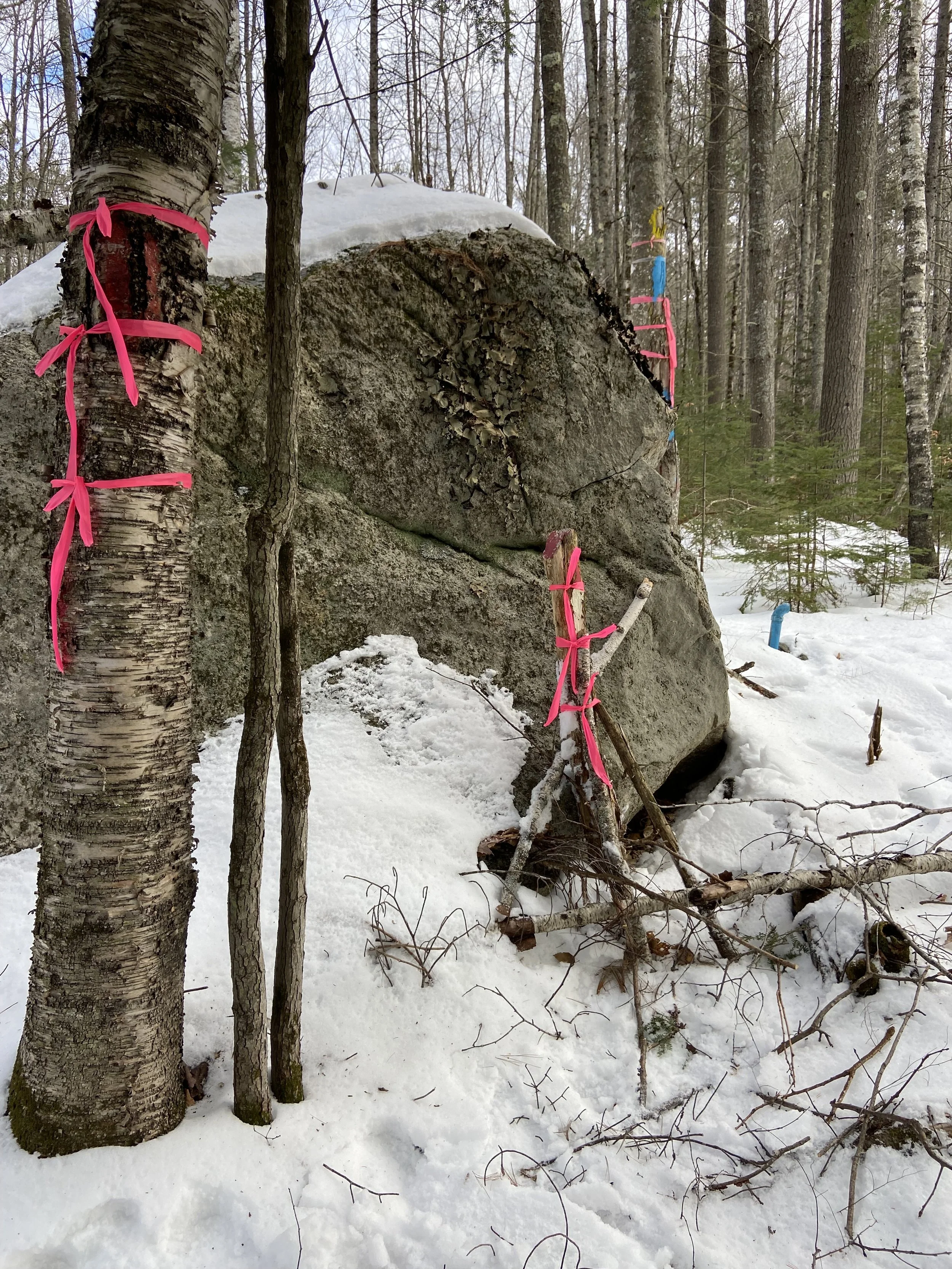 Visibly flag corners (three flags).