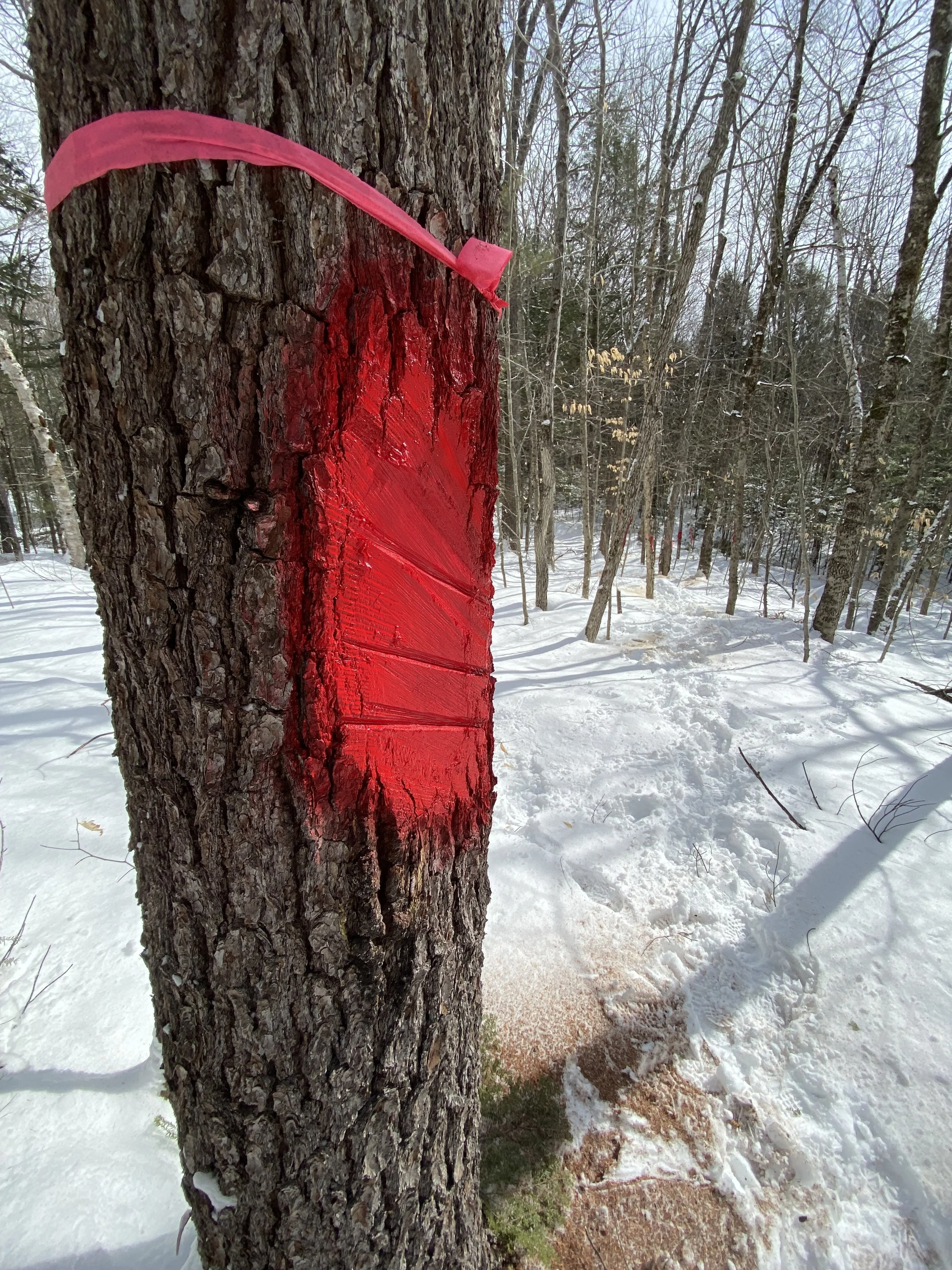 Paint (Two Coats Per Blaze)